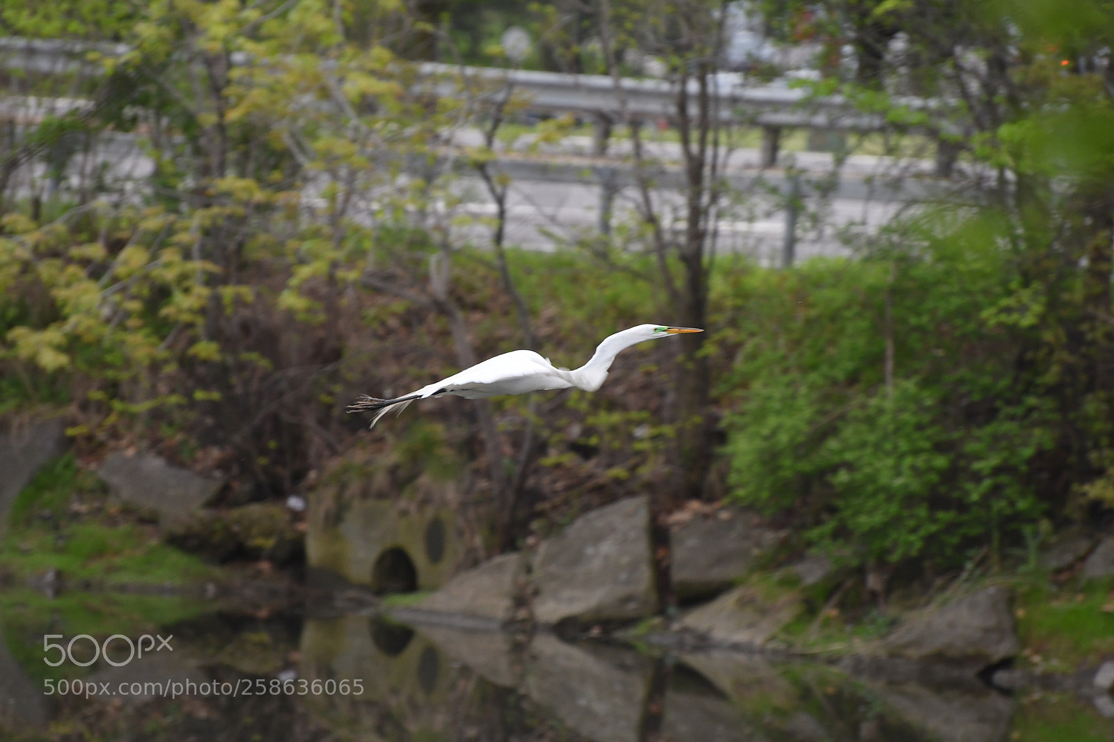 Nikon D500 sample photo. In motion photography