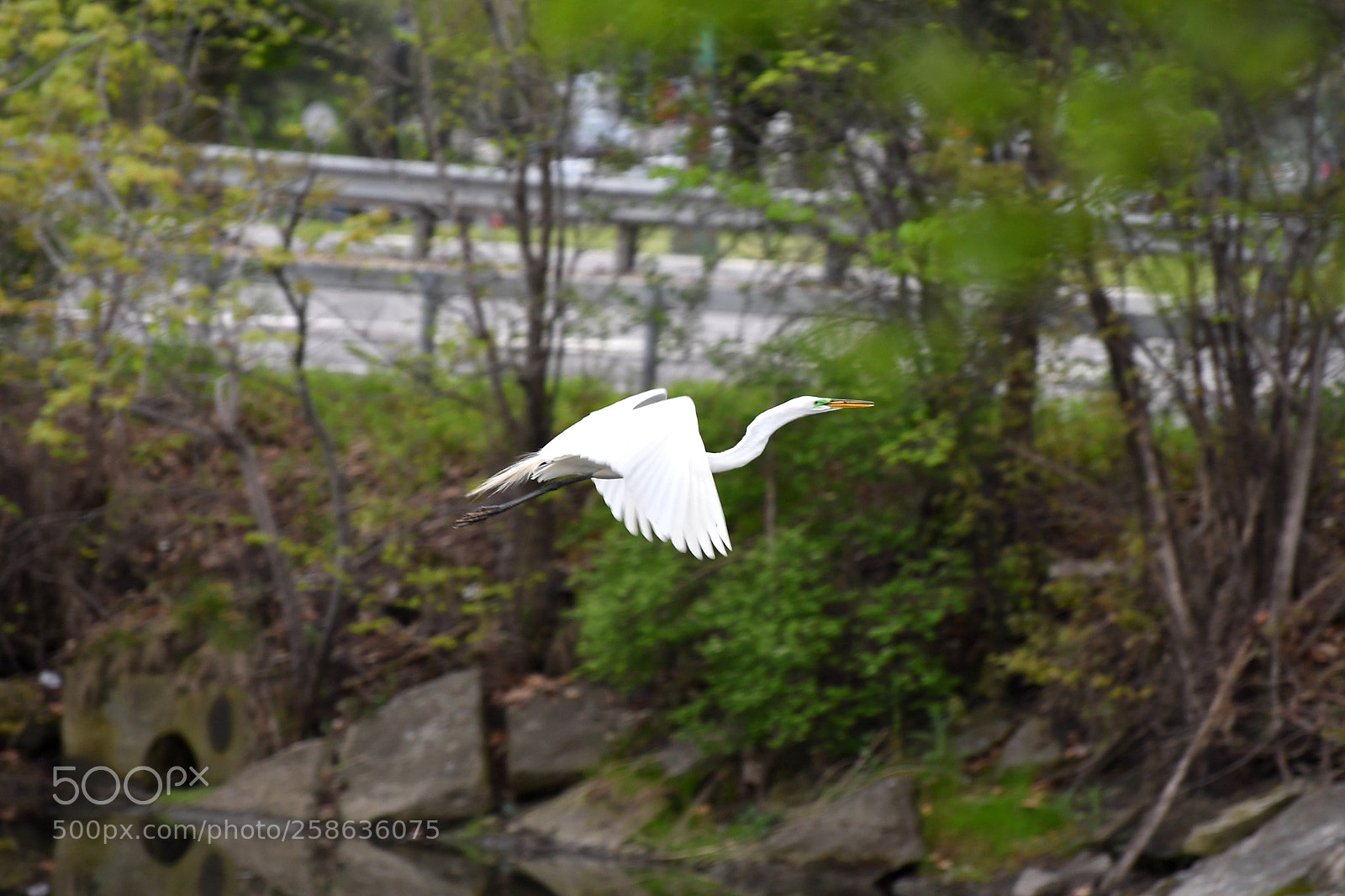 Nikon D500 sample photo. In motion photography