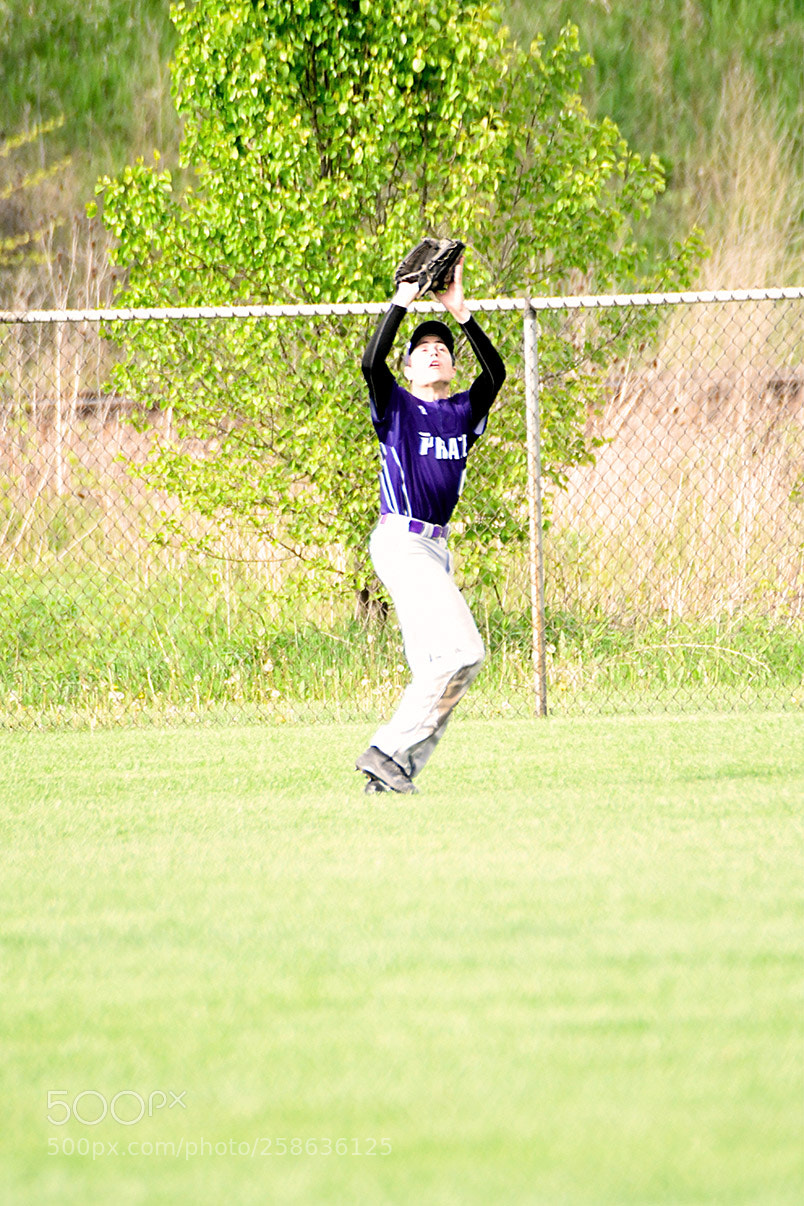 Nikon D500 sample photo. 5-15_0239.jpg photography