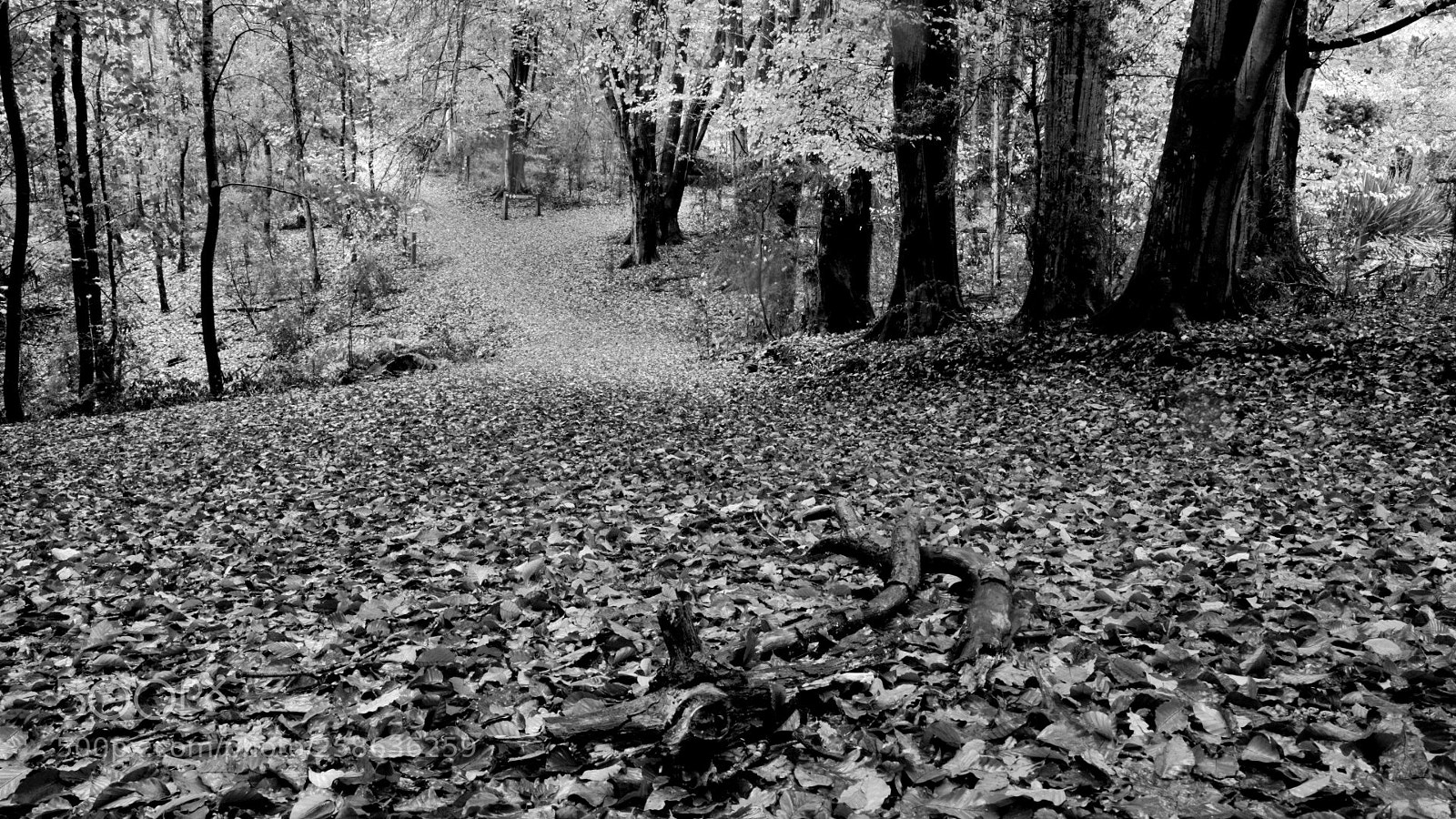 Canon EOS M3 sample photo. Untitled photography