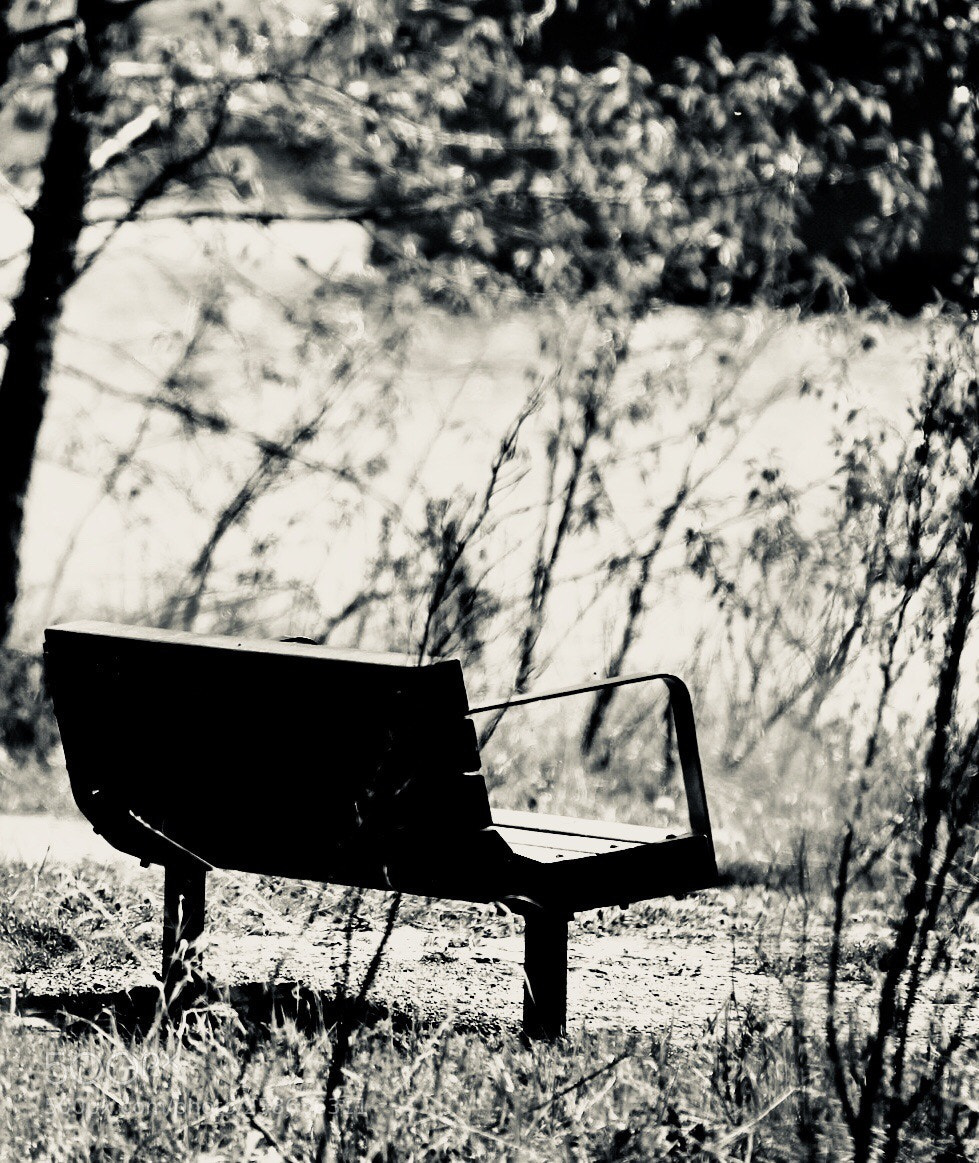 Canon EOS 60D sample photo. Banca campestre photography