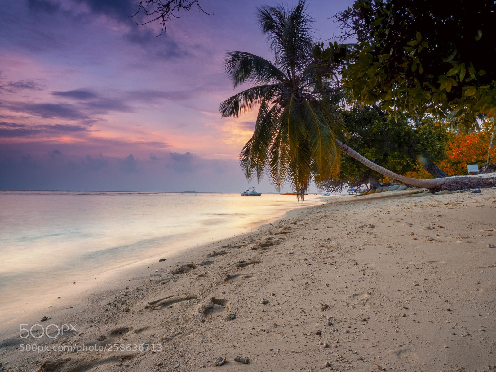 Olympus OM-D E-M1 Mark II sample photo. By the sea shore photography