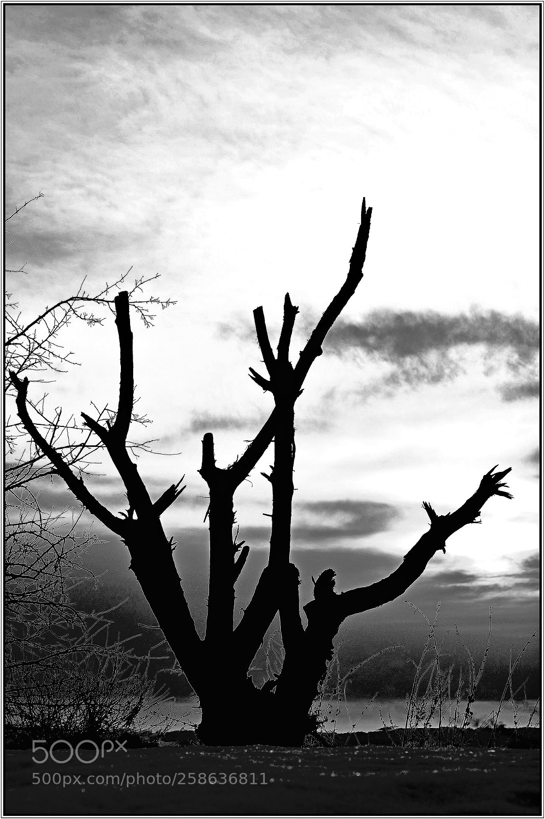 Nikon D7000 sample photo. Circuits photography