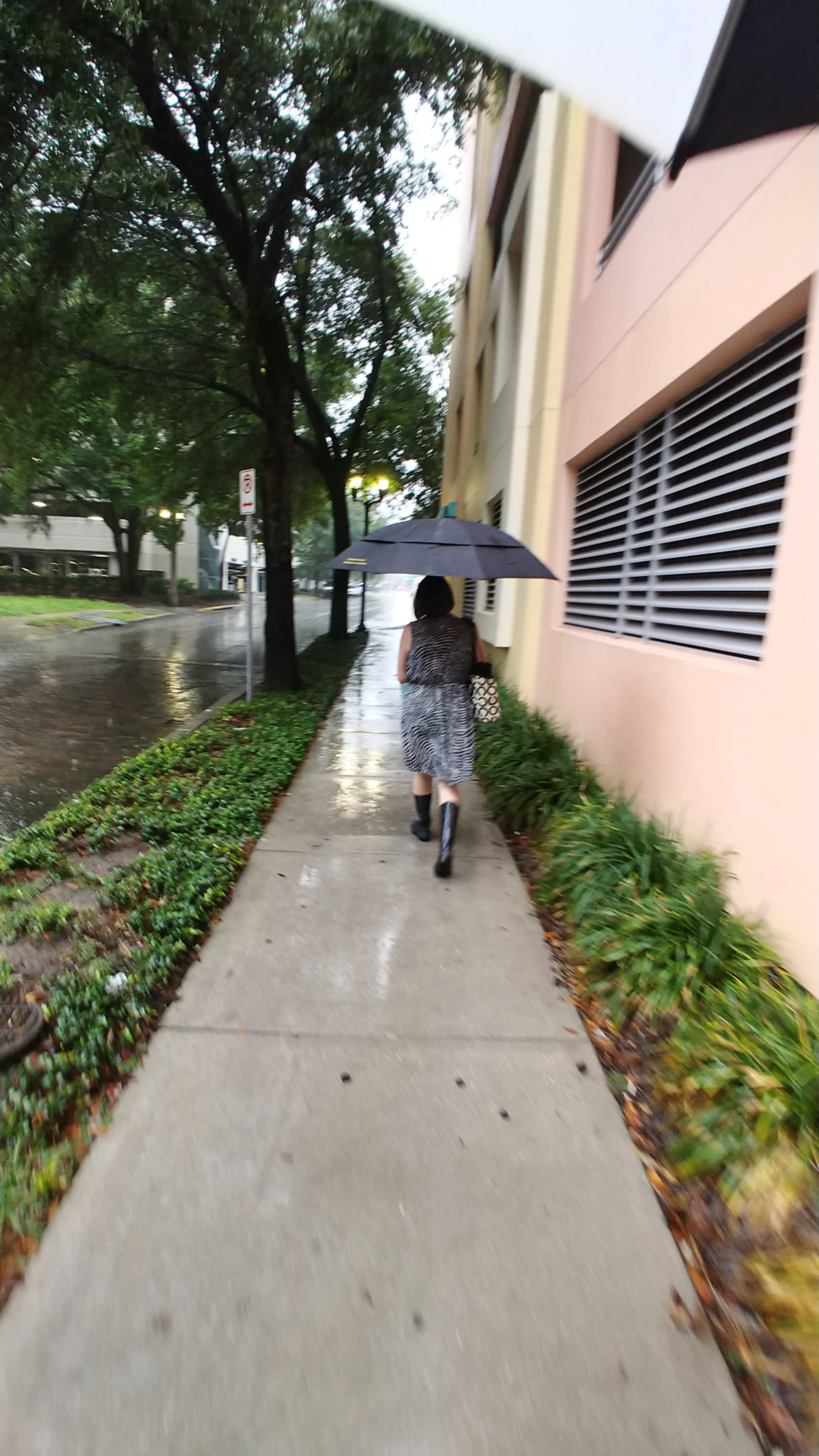 LG V30 sample photo. Rainy day photography