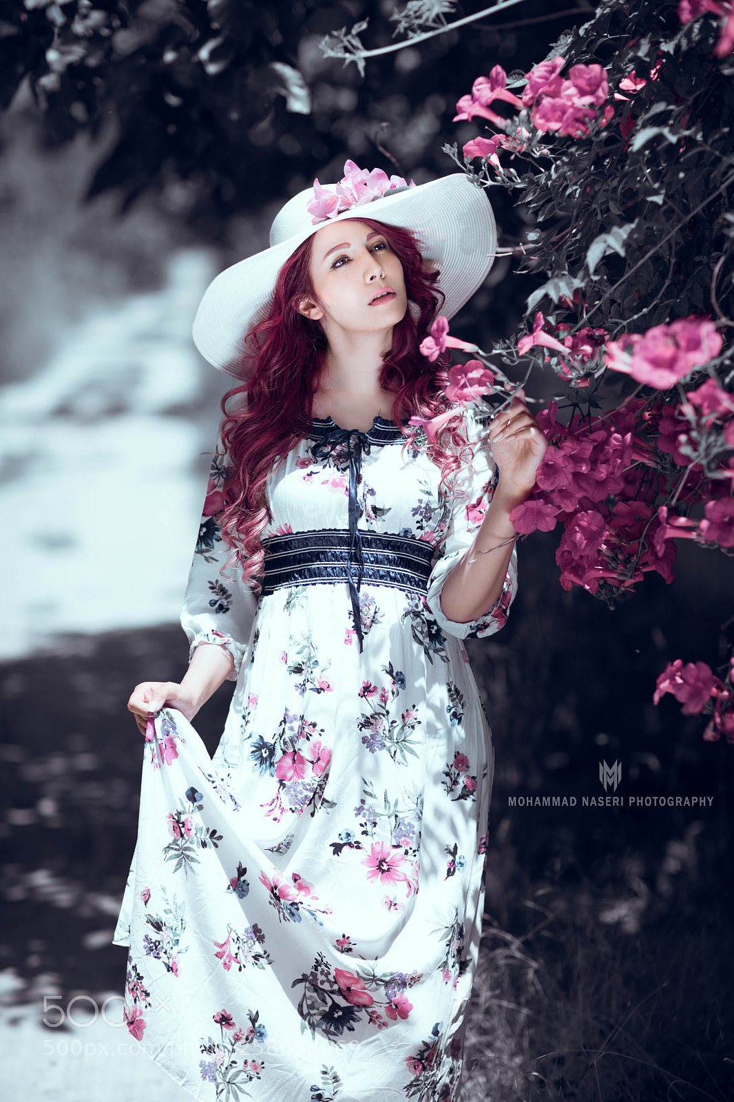 Canon EOS 5D Mark IV sample photo. Untitled photography