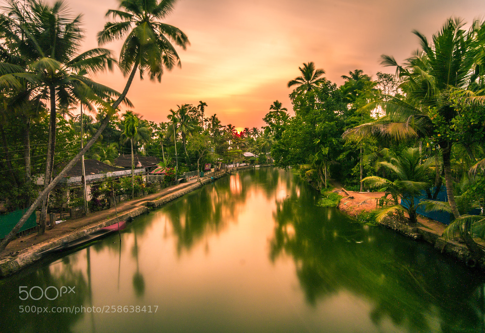 Nikon D3400 sample photo. Kerala backwaters photography