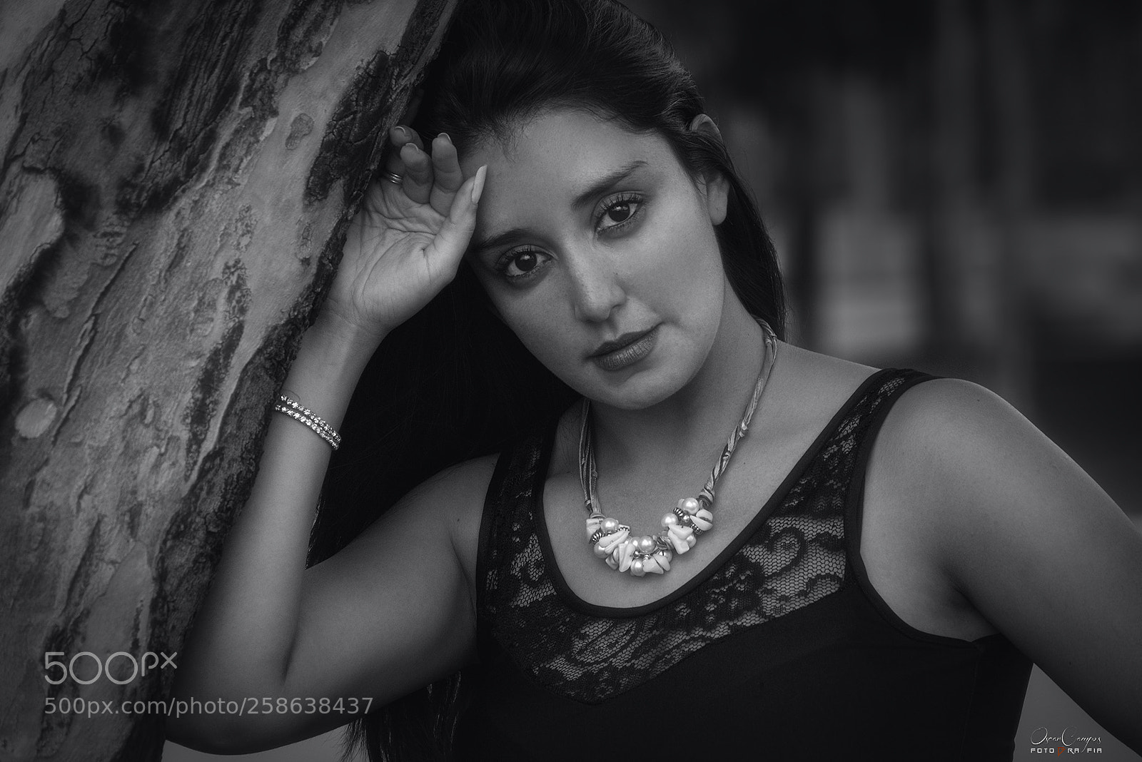 Nikon D810 sample photo. Carolina photography