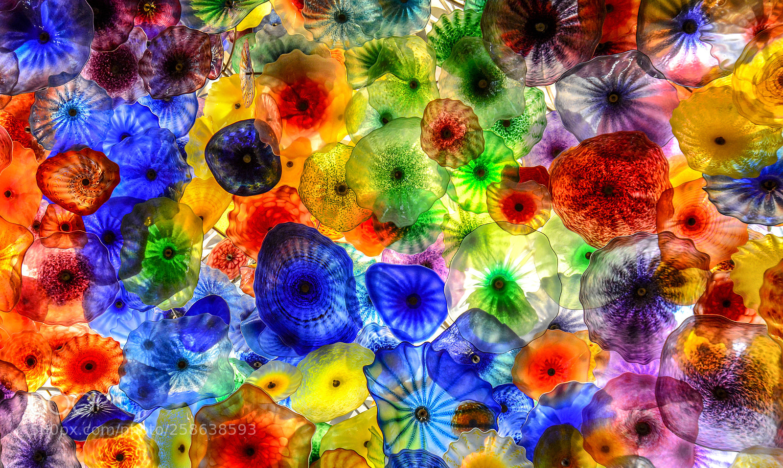 Nikon D7100 sample photo. Colorful photography