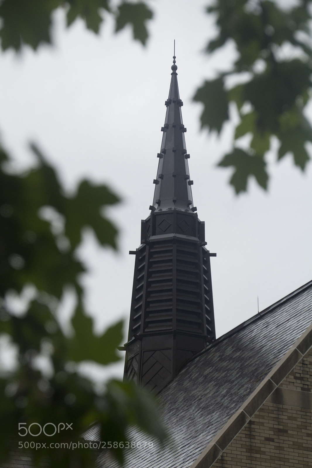 Canon EOS 1200D (EOS Rebel T5 / EOS Kiss X70 / EOS Hi) sample photo. Blurry leaves, roof, and photography