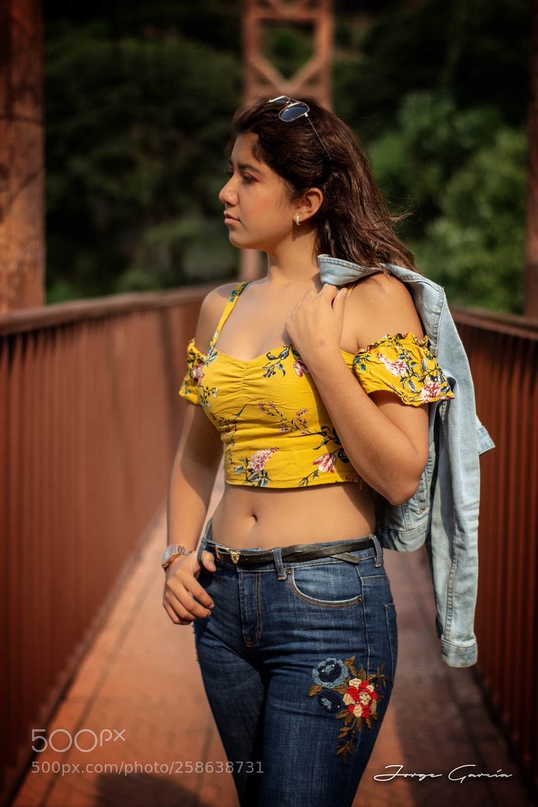 Nikon D7200 sample photo. Bridge  photography