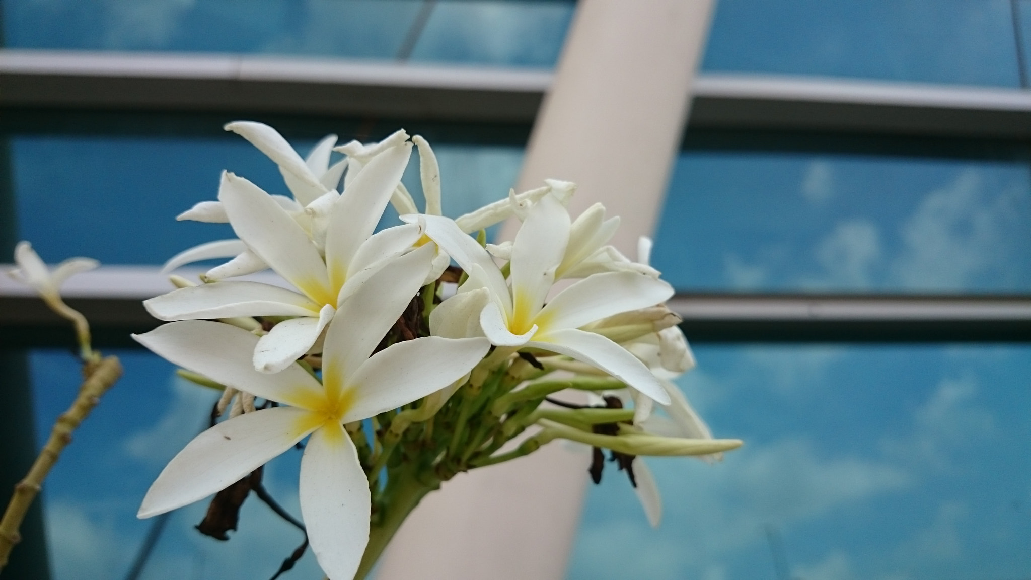 Sony Xperia Z2 sample photo. Photos photography