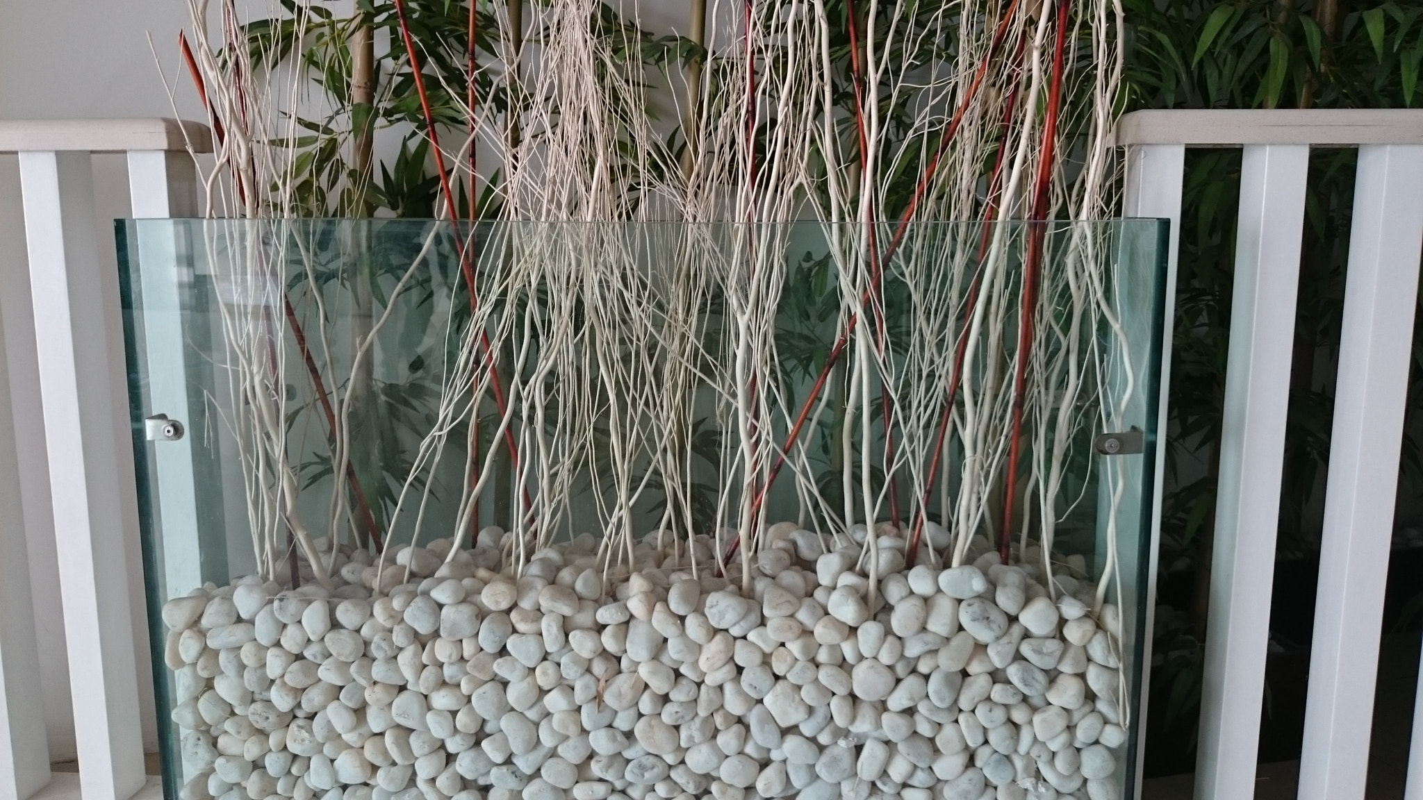 Sony Xperia Z2 sample photo. Photos photography