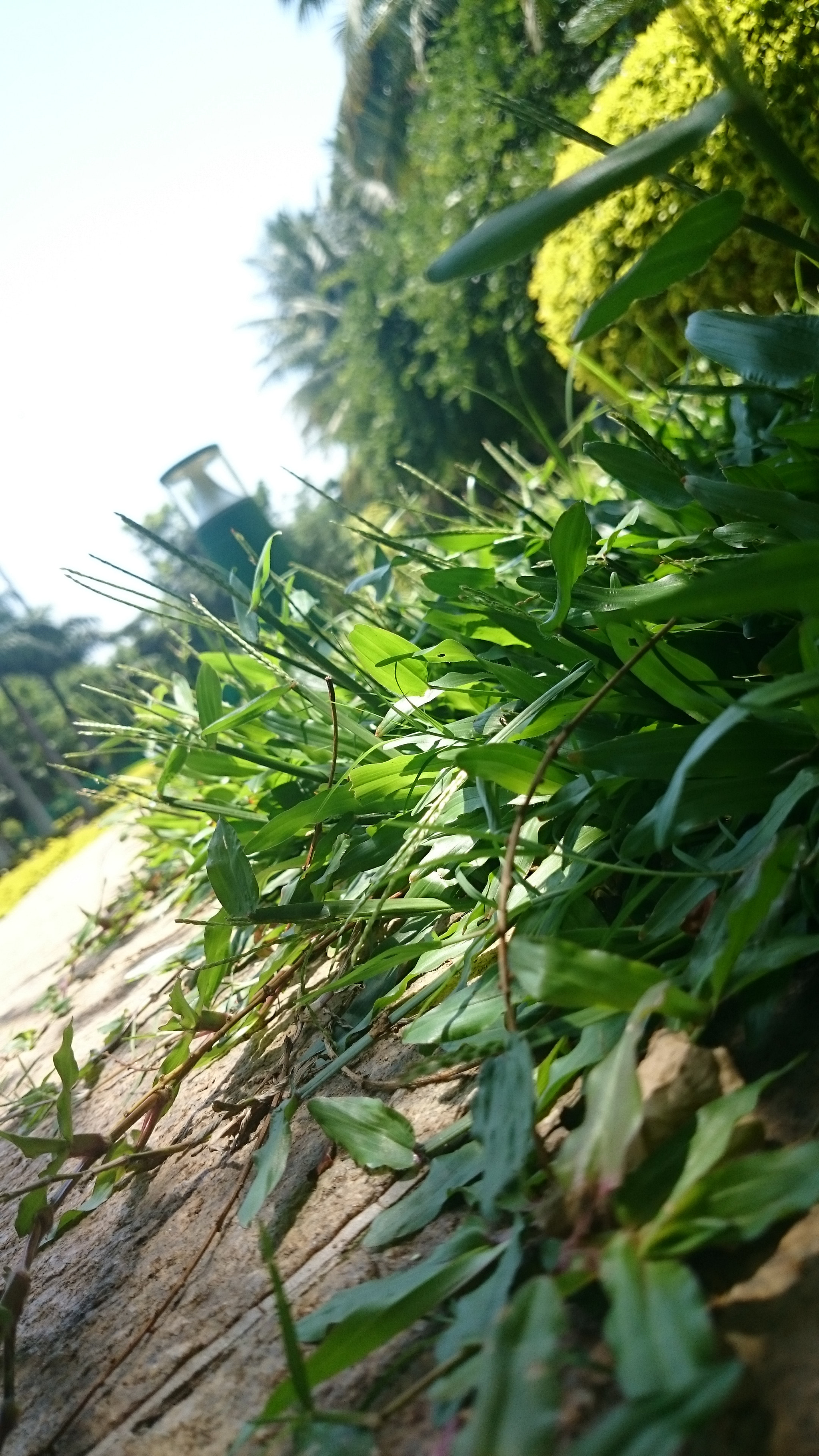Sony Xperia Z2 sample photo. Photos photography