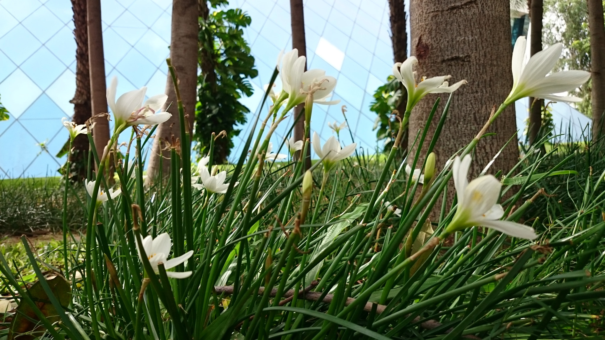 Sony Xperia Z2 sample photo. Photos photography