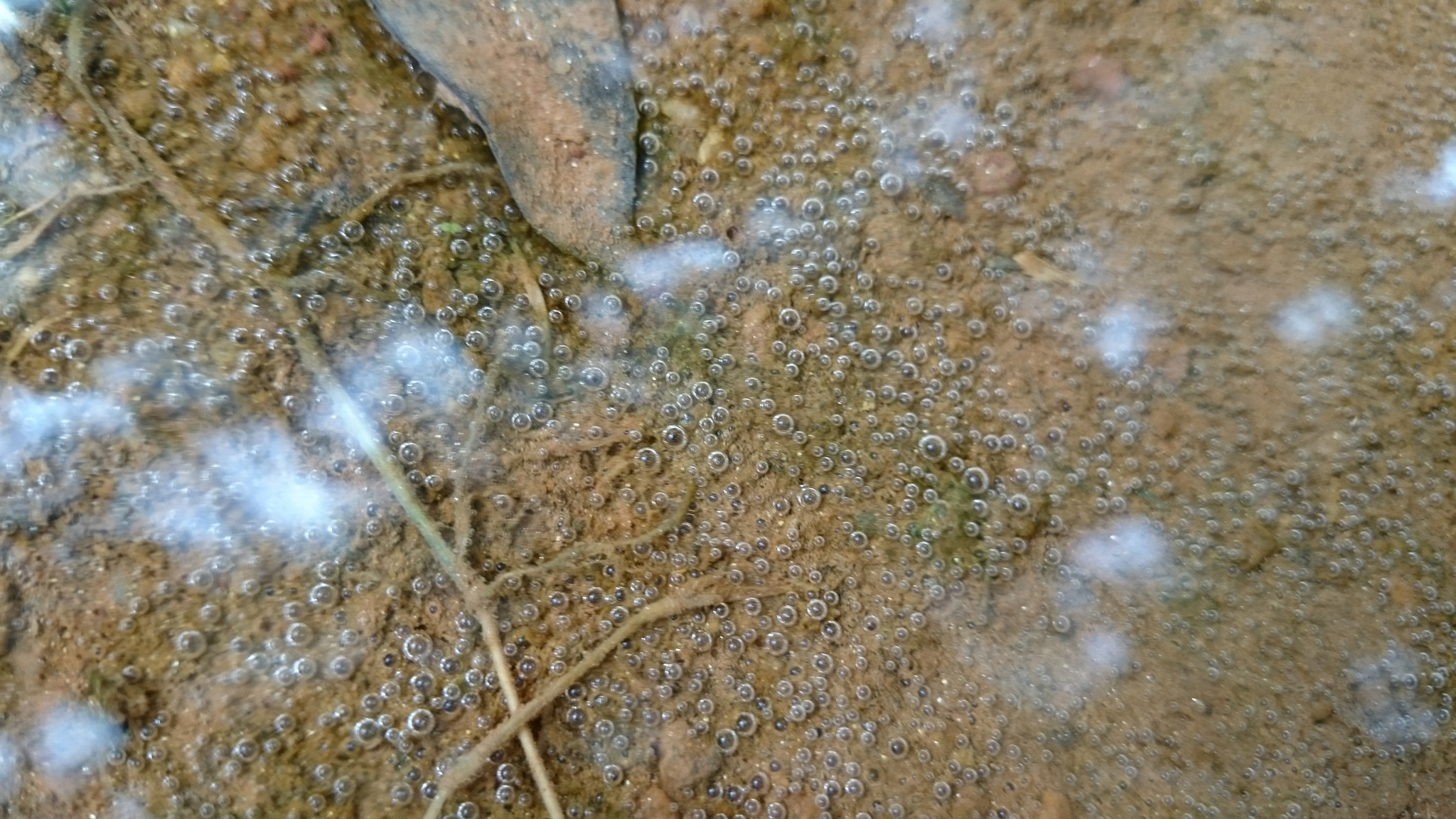 Sony Xperia Z2 sample photo. Photos photography