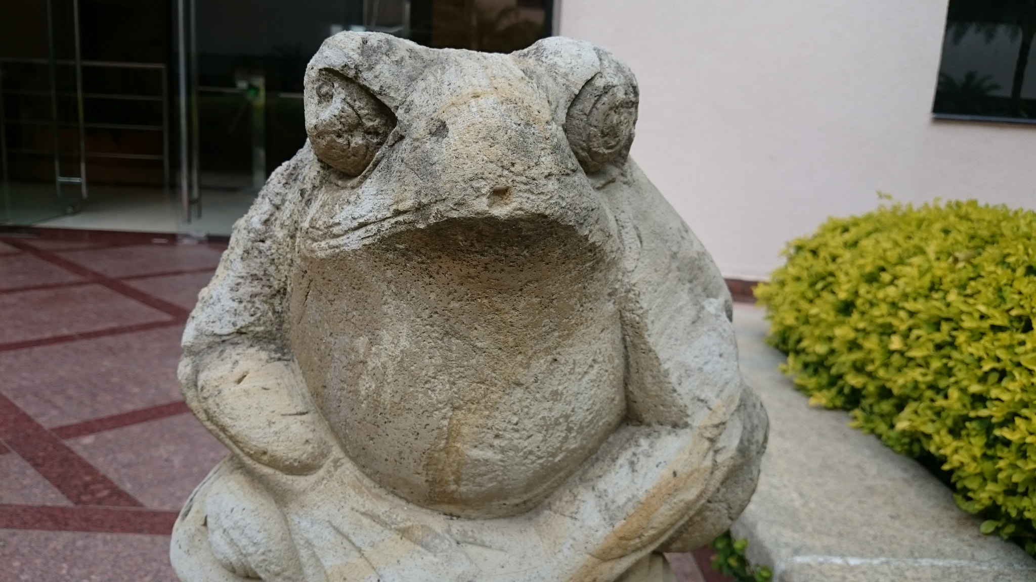 Sony Xperia Z2 sample photo. Photos photography