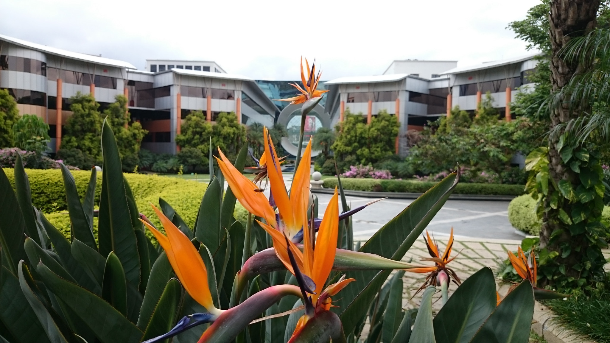 Sony Xperia Z2 sample photo. Photos photography