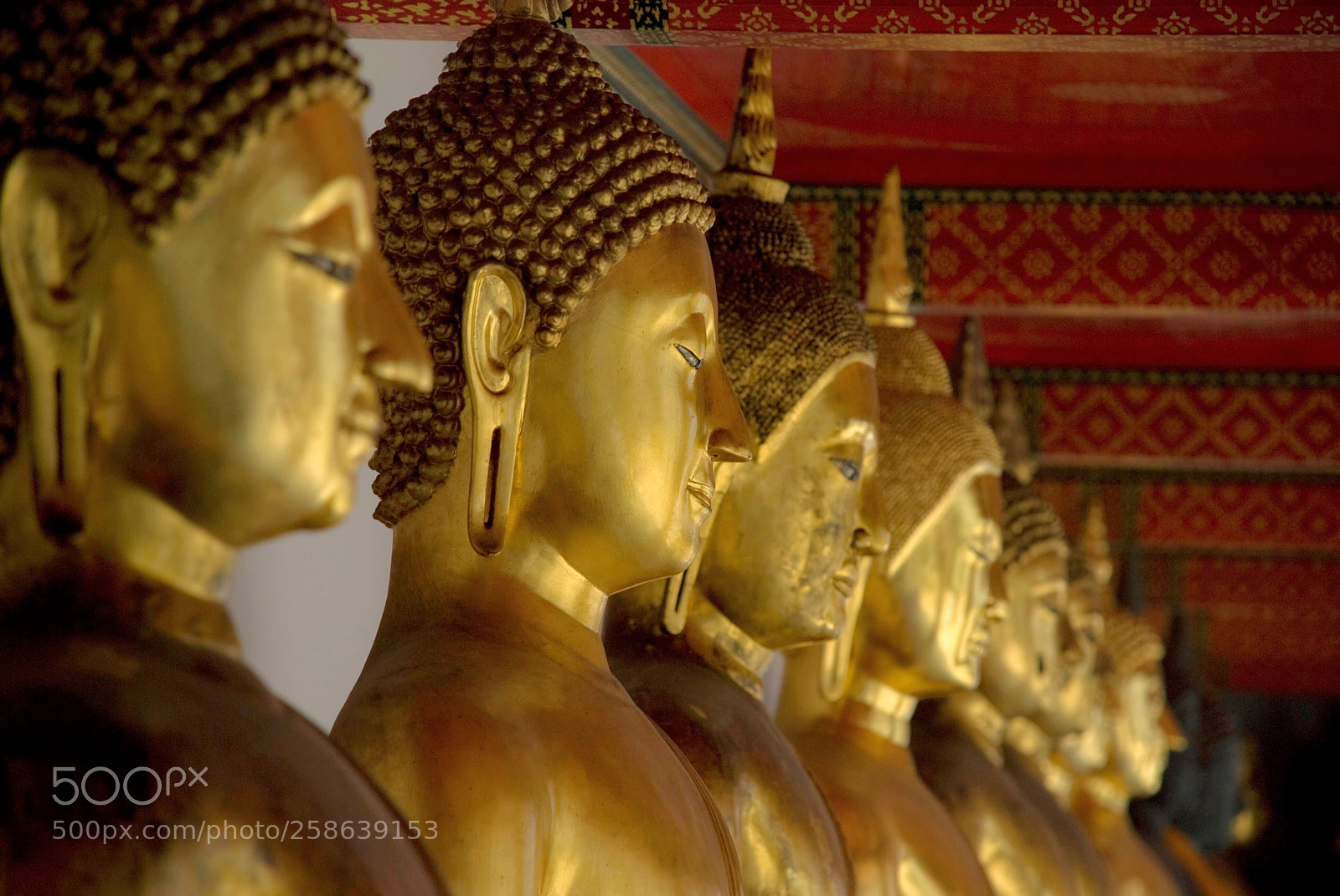 Nikon D80 sample photo. Row of golden buddha photography