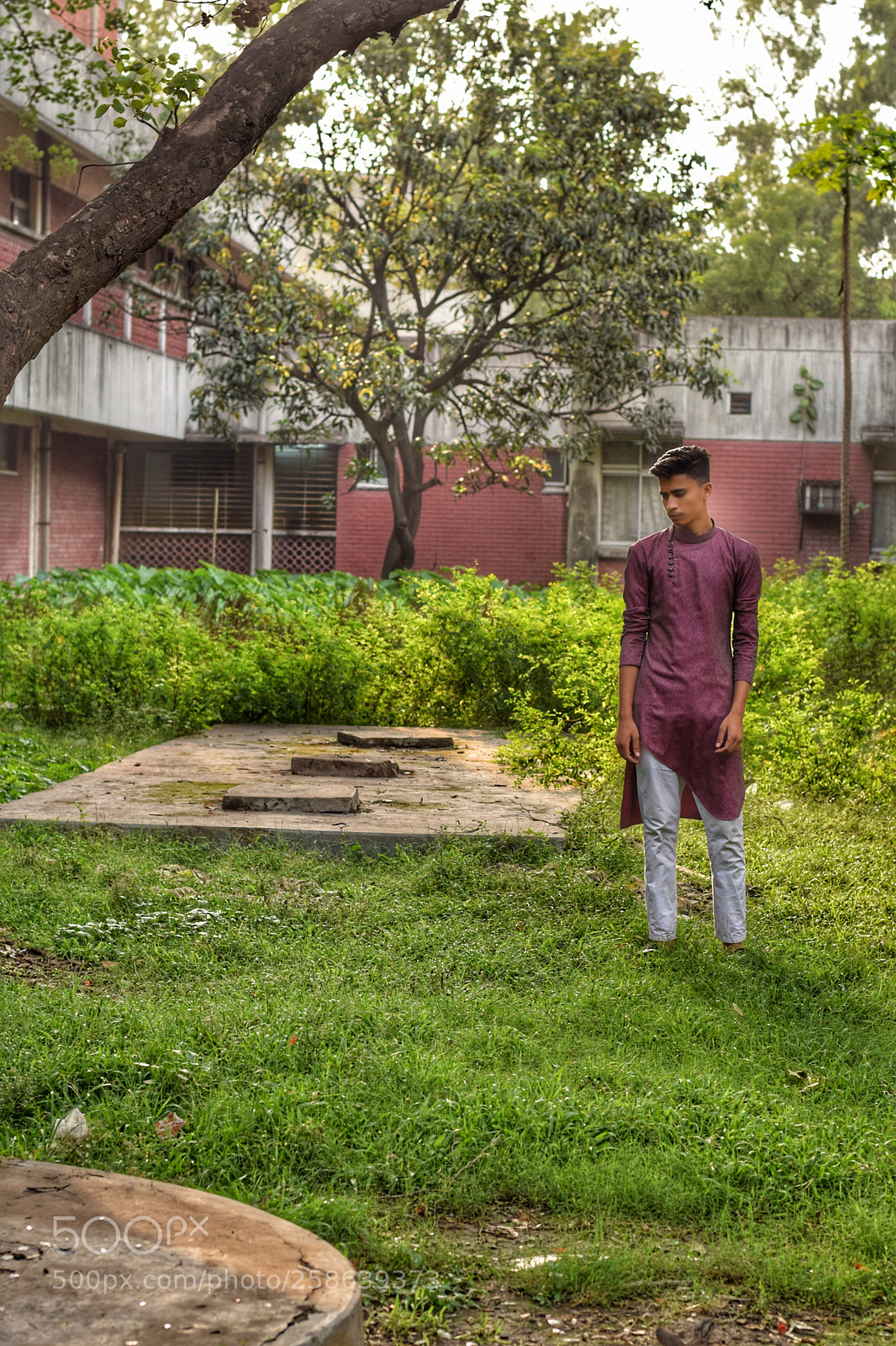 Nikon D3300 sample photo. Untitled photography