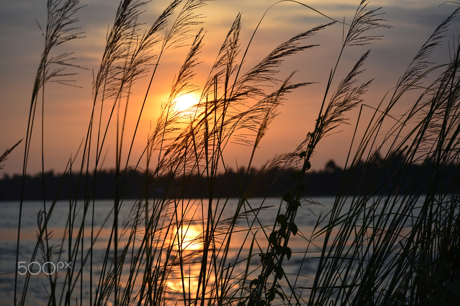 Nikon D5200 sample photo. Sundown photography