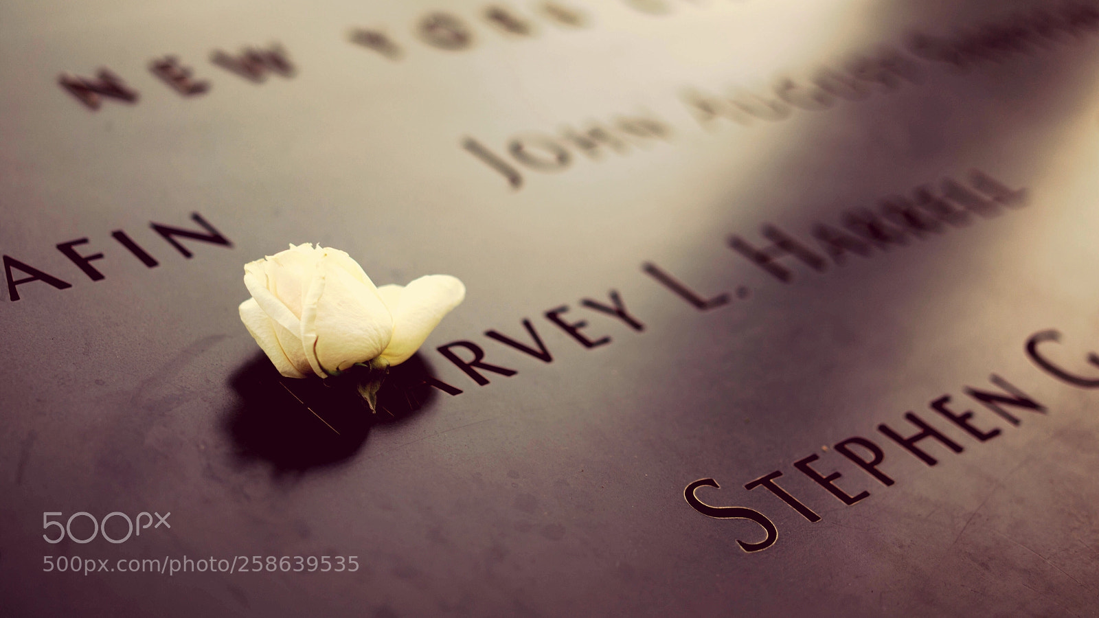 Sony a7R sample photo. Names on memorial photography