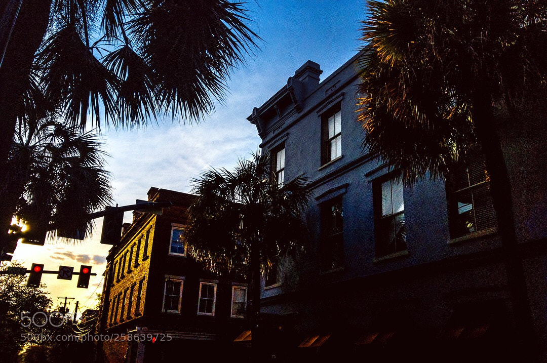 Apple iPhone 7 sample photo. Charleston photography