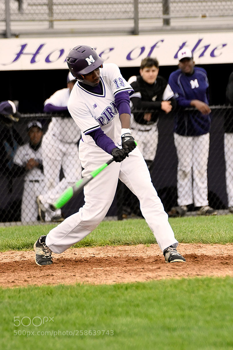 Nikon D500 sample photo. 5-15_0560.jpg photography