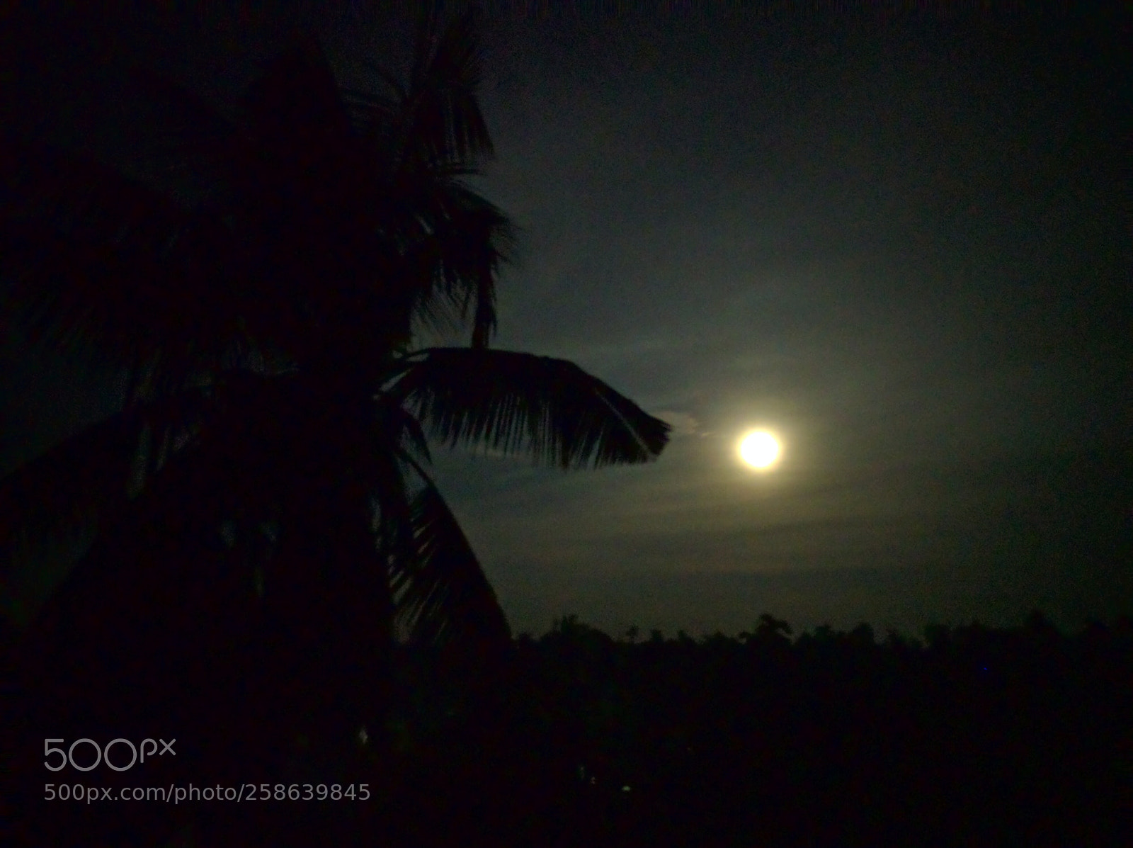 LG Nexus 5X sample photo. Moon night photography