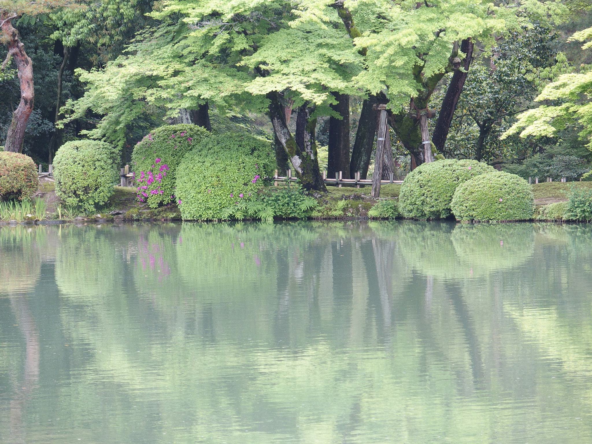 Olympus STYLUS1,1s sample photo. Kenroku-en, kanazawa / 兼六園 photography