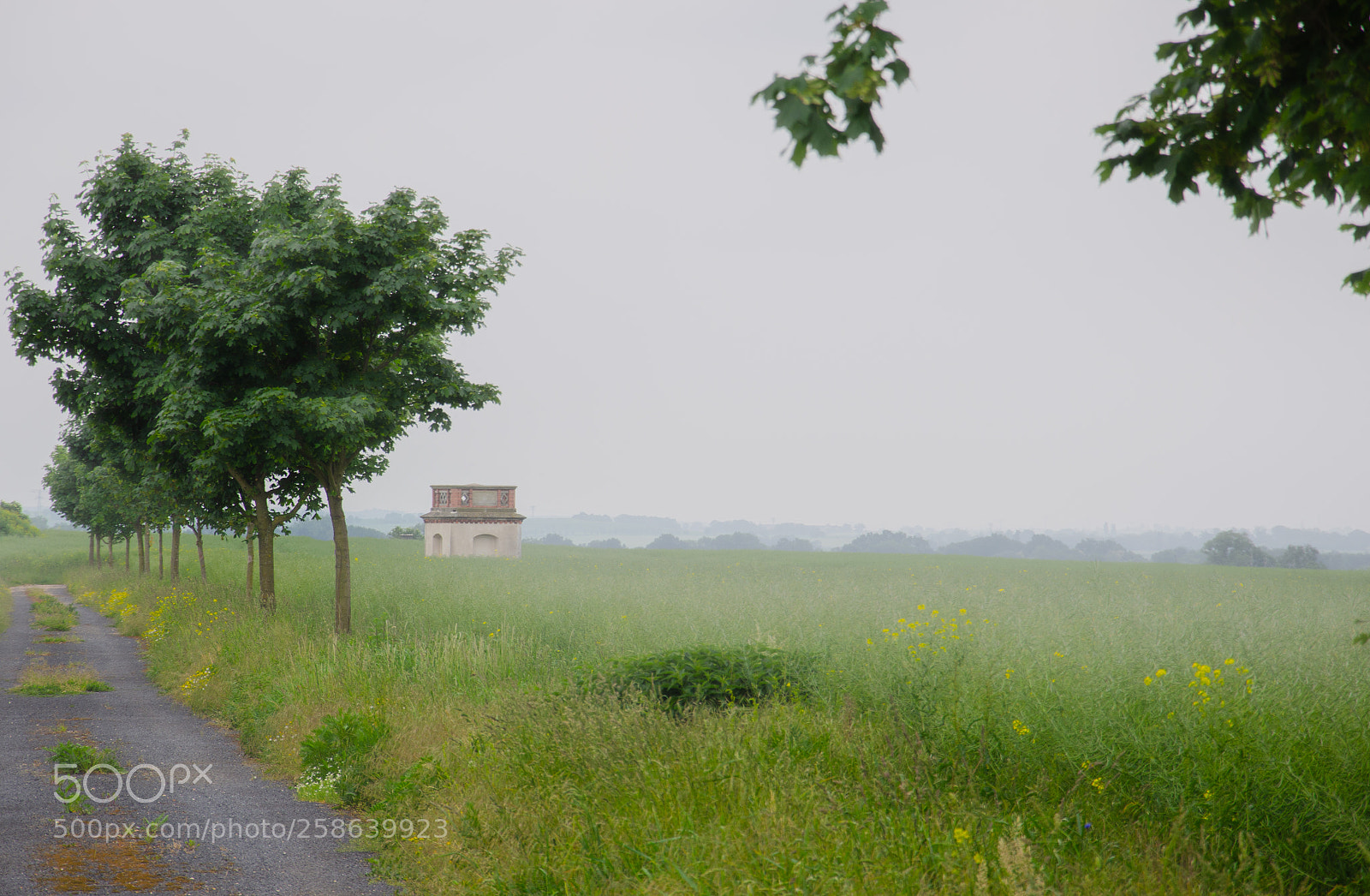 Nikon D5100 sample photo. Basisendhaeuschen photography