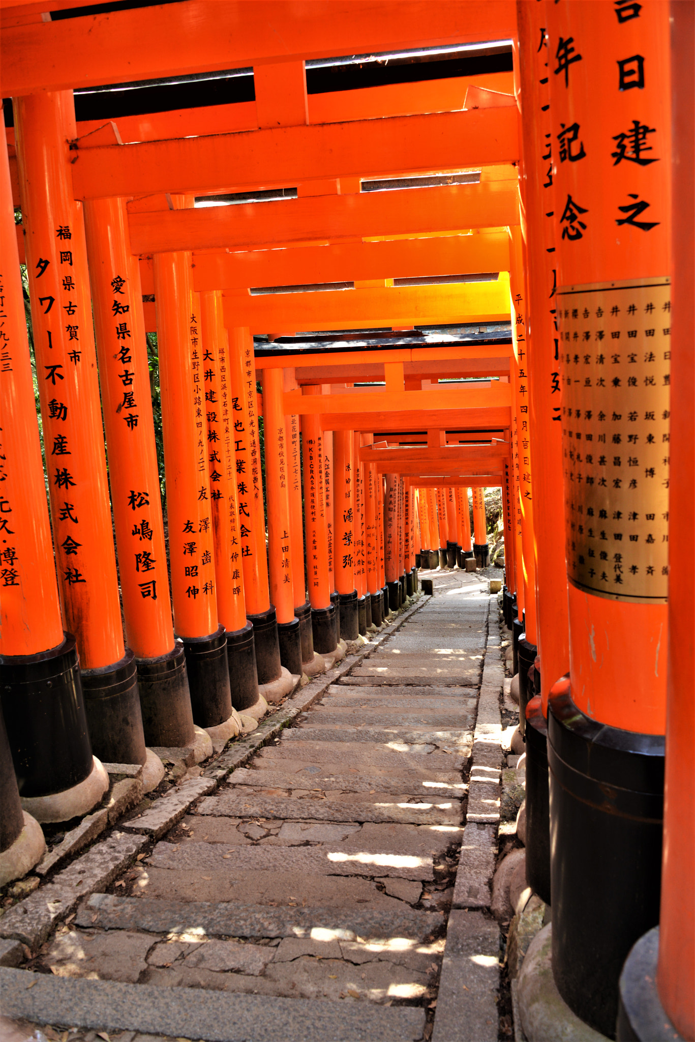 Nikon D800 sample photo. The road to home photography