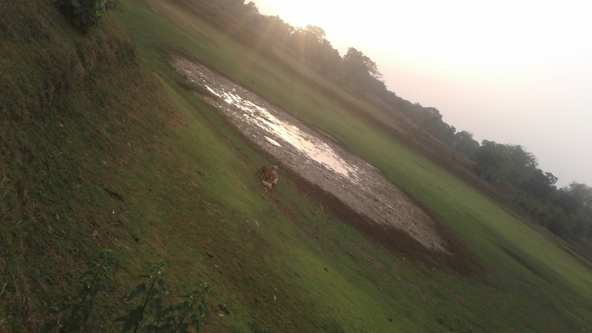Samsung Galaxy J1(2016) sample photo. Evening when sunset near a dry pond photography