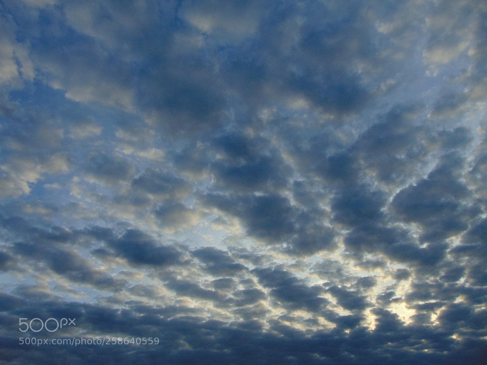 Sony Cyber-shot DSC-H300 sample photo. 005.jpg photography