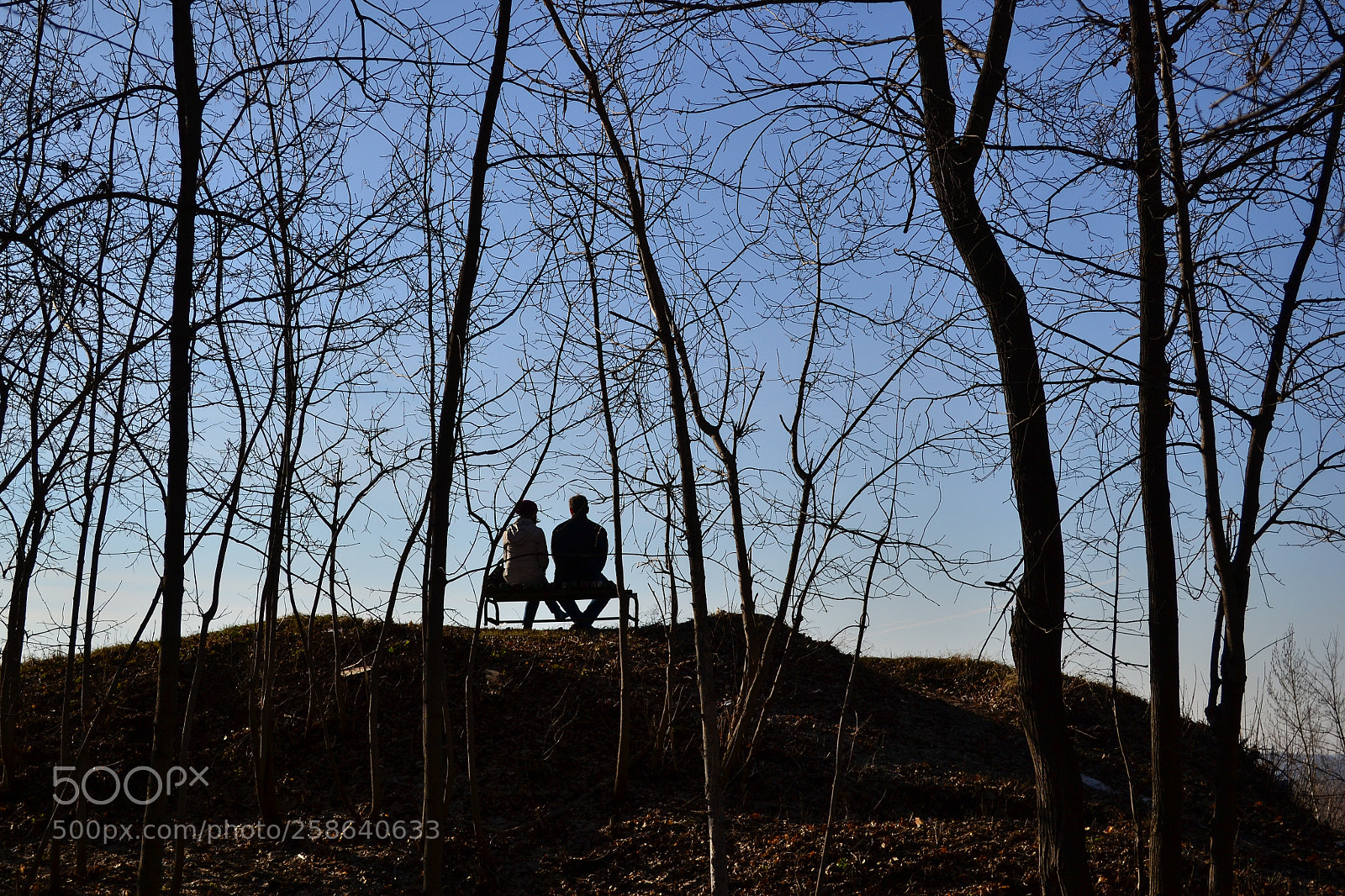 Nikon D3100 sample photo. Romantic evening photography