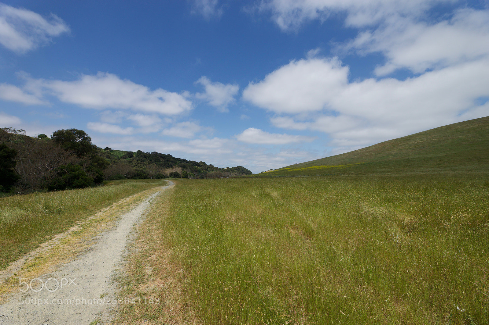 Sony a7 sample photo. Hike at dry creek photography