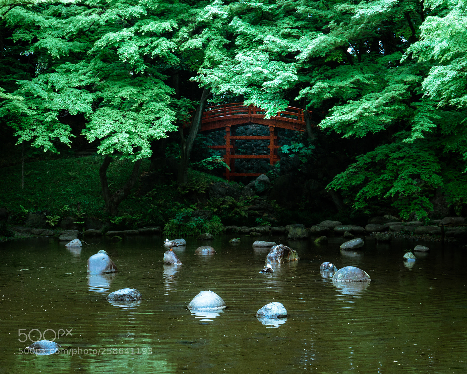 Sony a7 II sample photo. Red bridge of korakuen photography