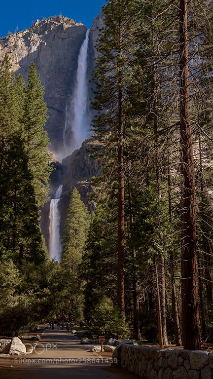 Nikon D810 sample photo. Yosemite photography