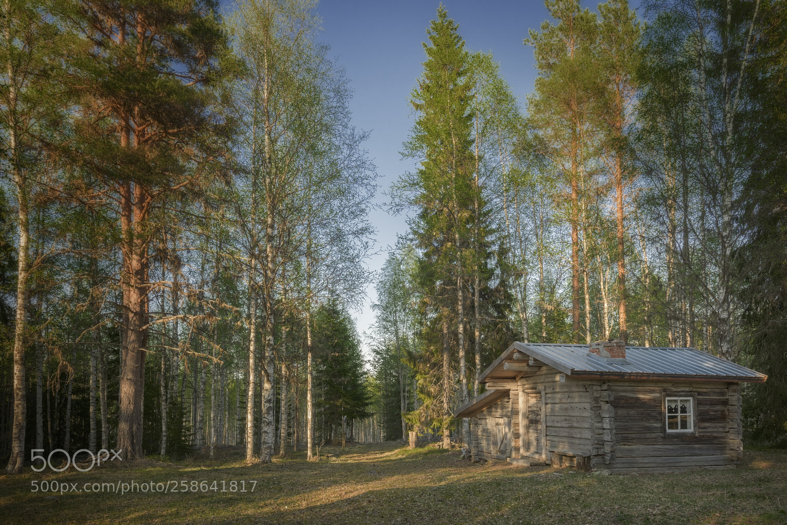 Nikon D810 sample photo. Log cabin in a photography