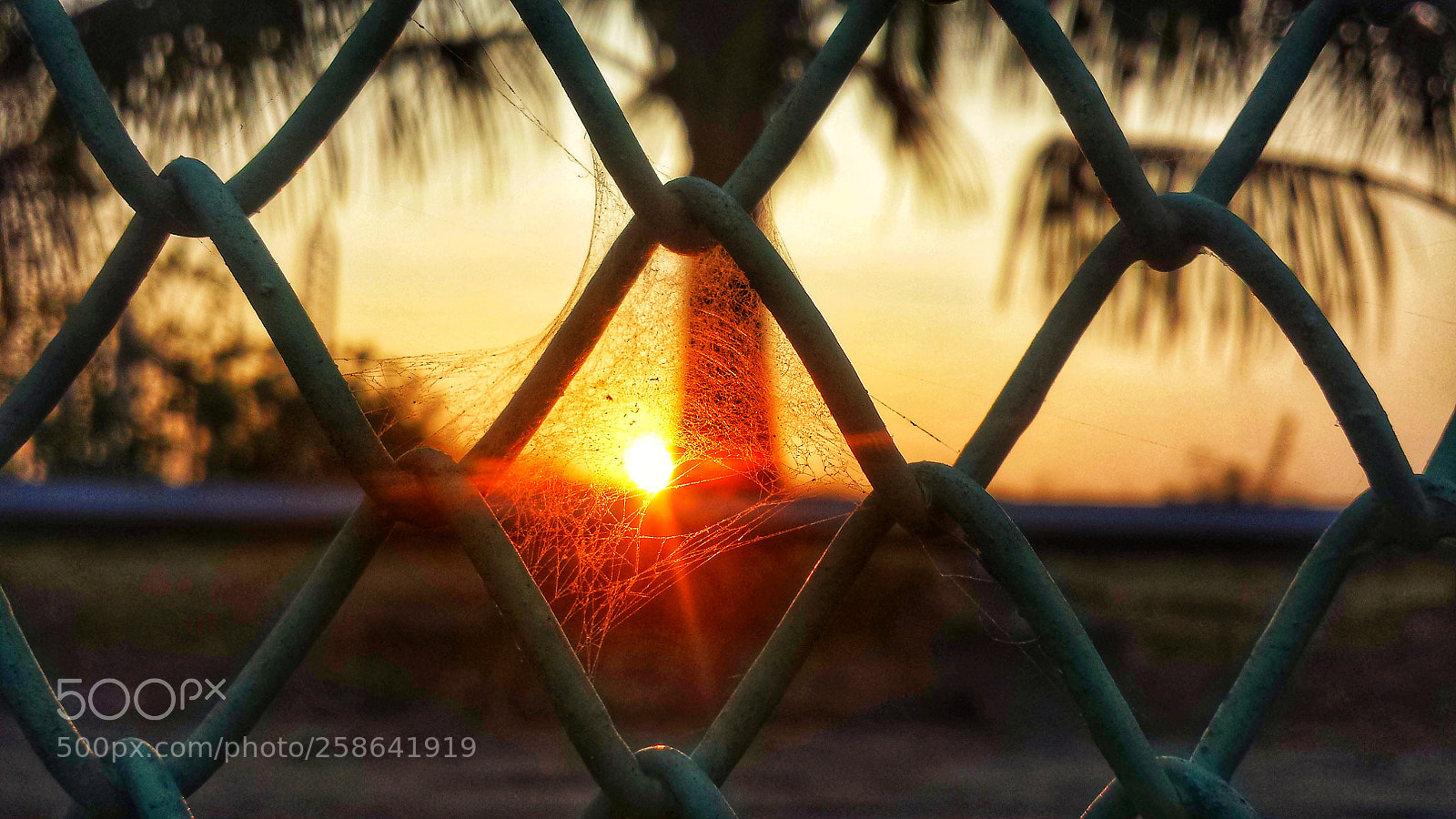 Samsung Galaxy S4 sample photo. Sunset photography