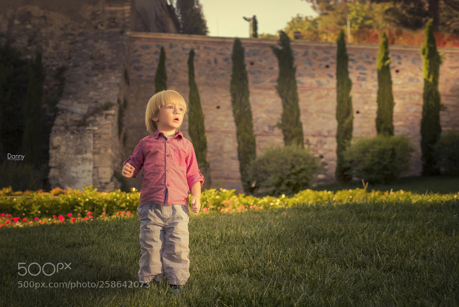 Nikon D750 sample photo. Theo photography