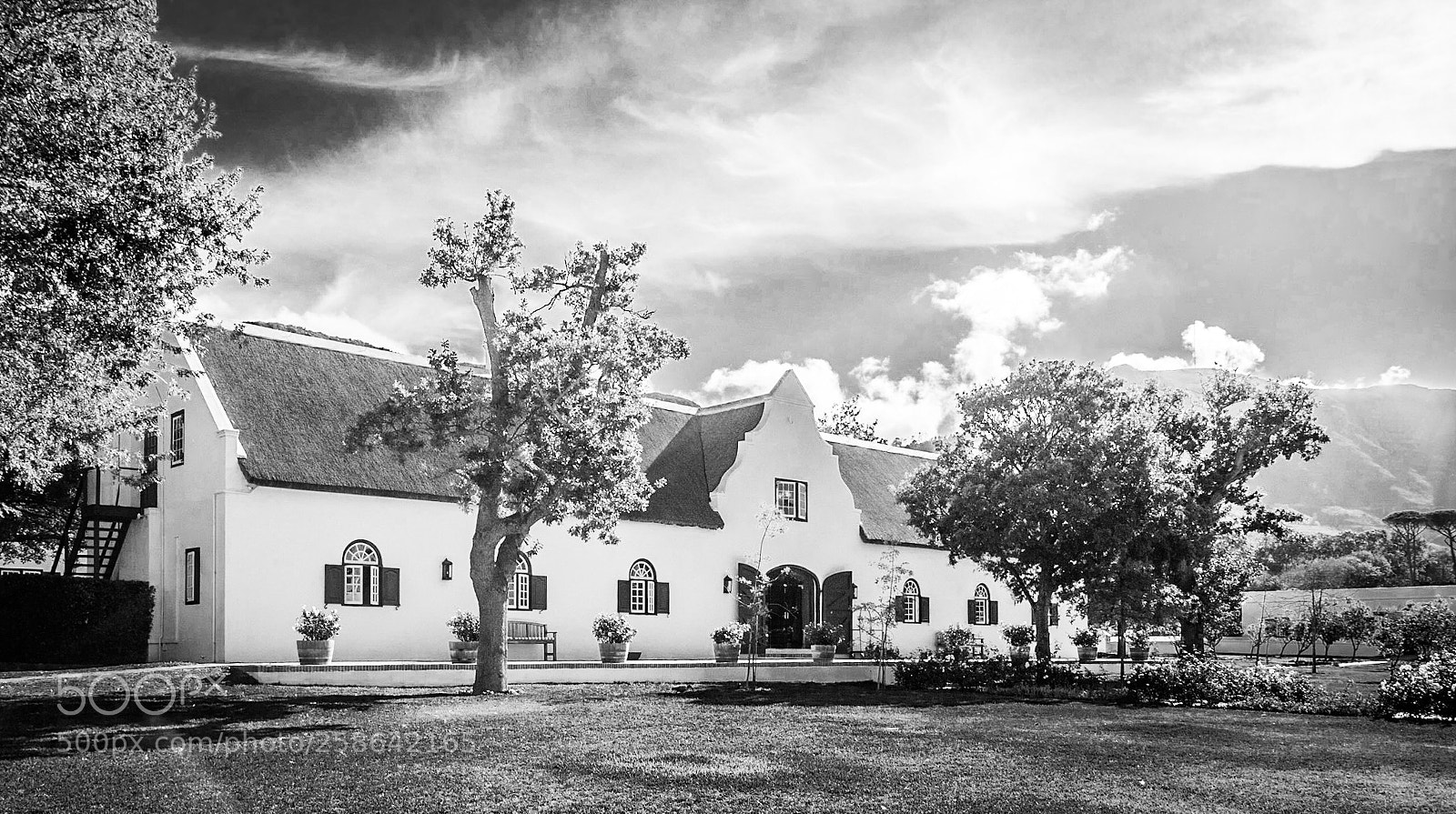 Canon EOS 7D Mark II sample photo. Steenberg wine estate, cape photography