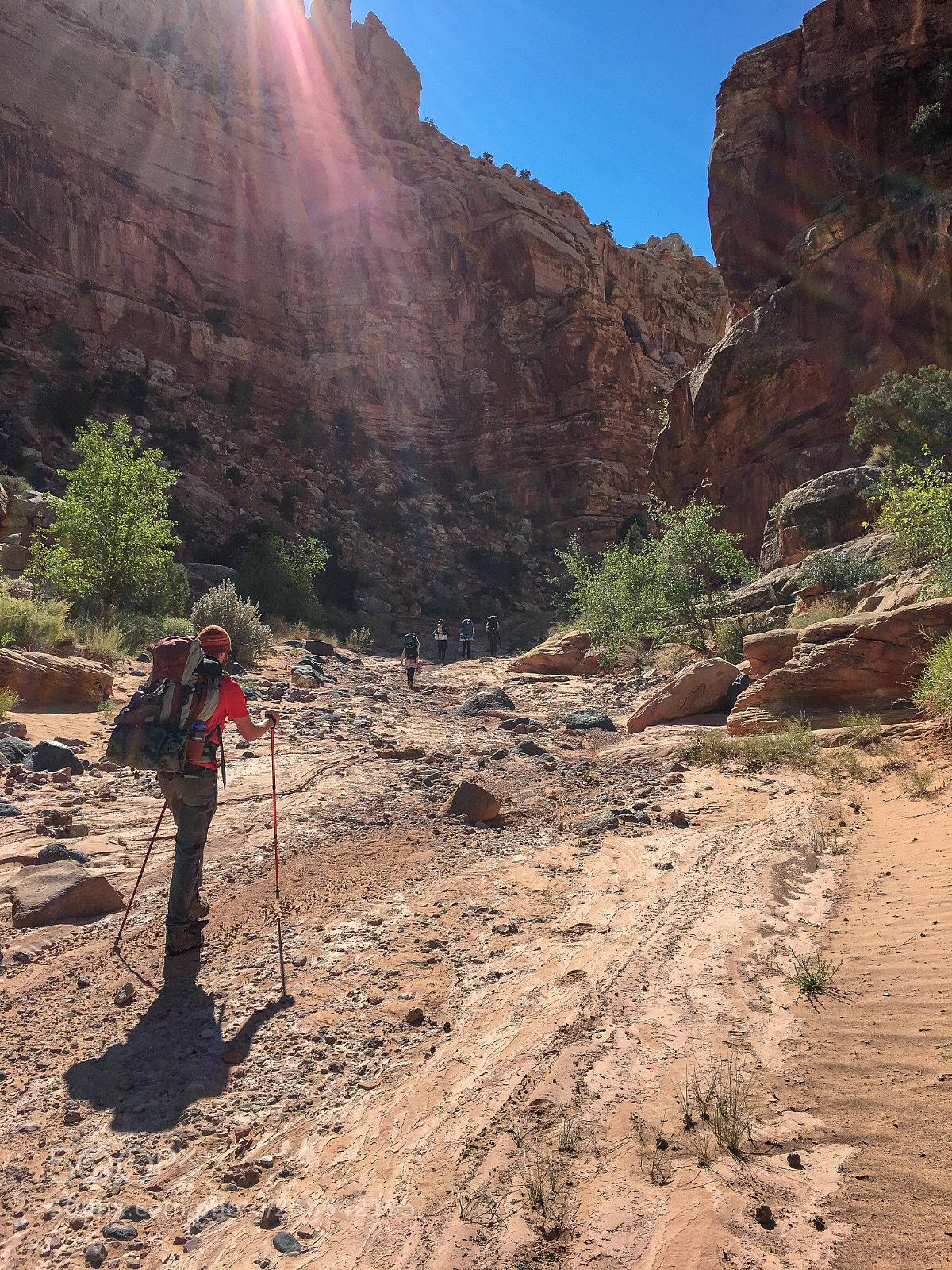 Apple iPhone 6s sample photo. Spring canyon photography