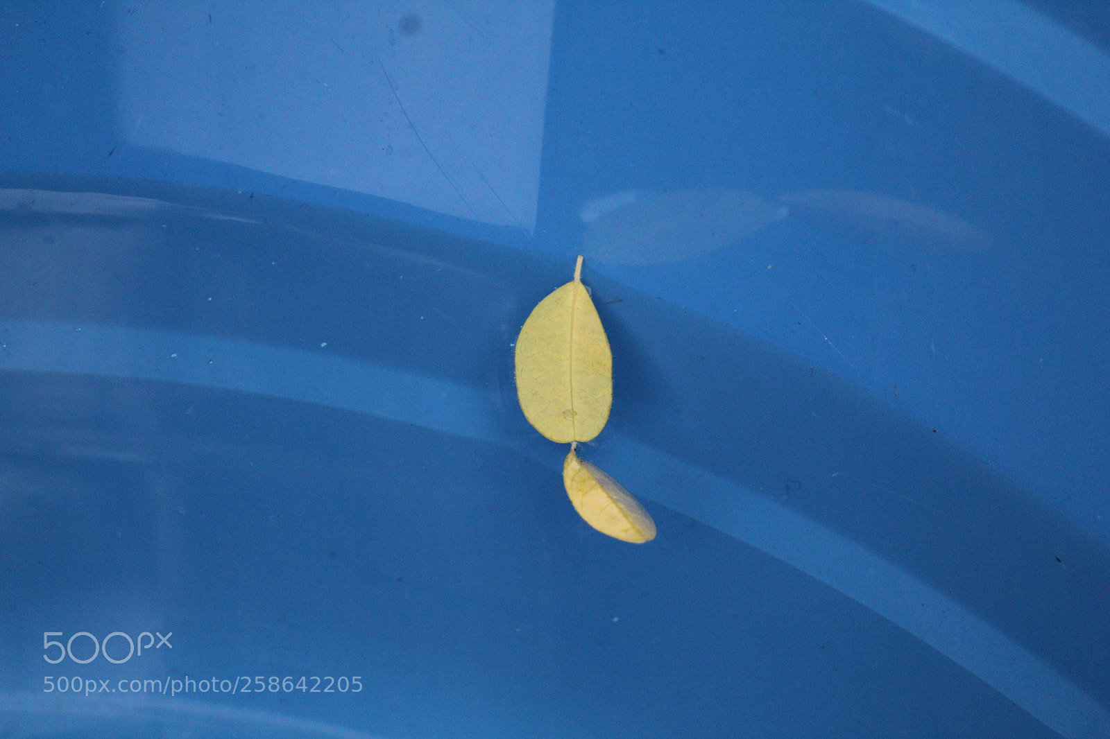 Canon EF-S 55-250mm F4-5.6 IS II sample photo. Festival eve photography