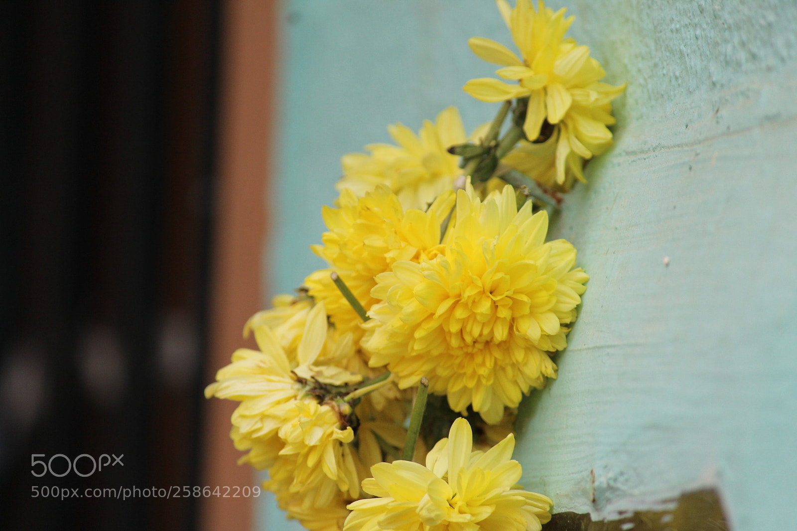 Canon EF-S 55-250mm F4-5.6 IS II sample photo. Festival eve photography
