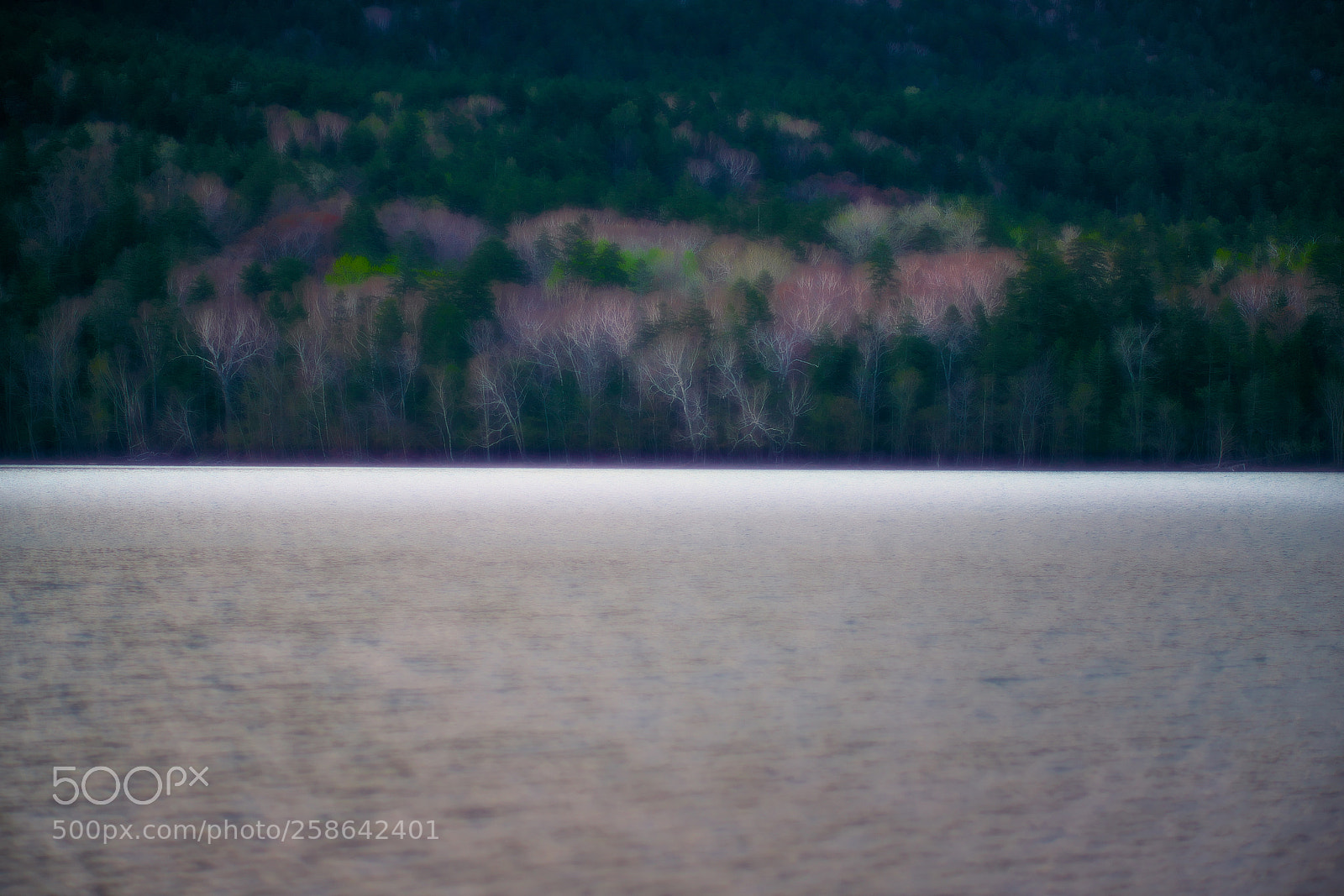 Sony a7R III sample photo. Blurred photography