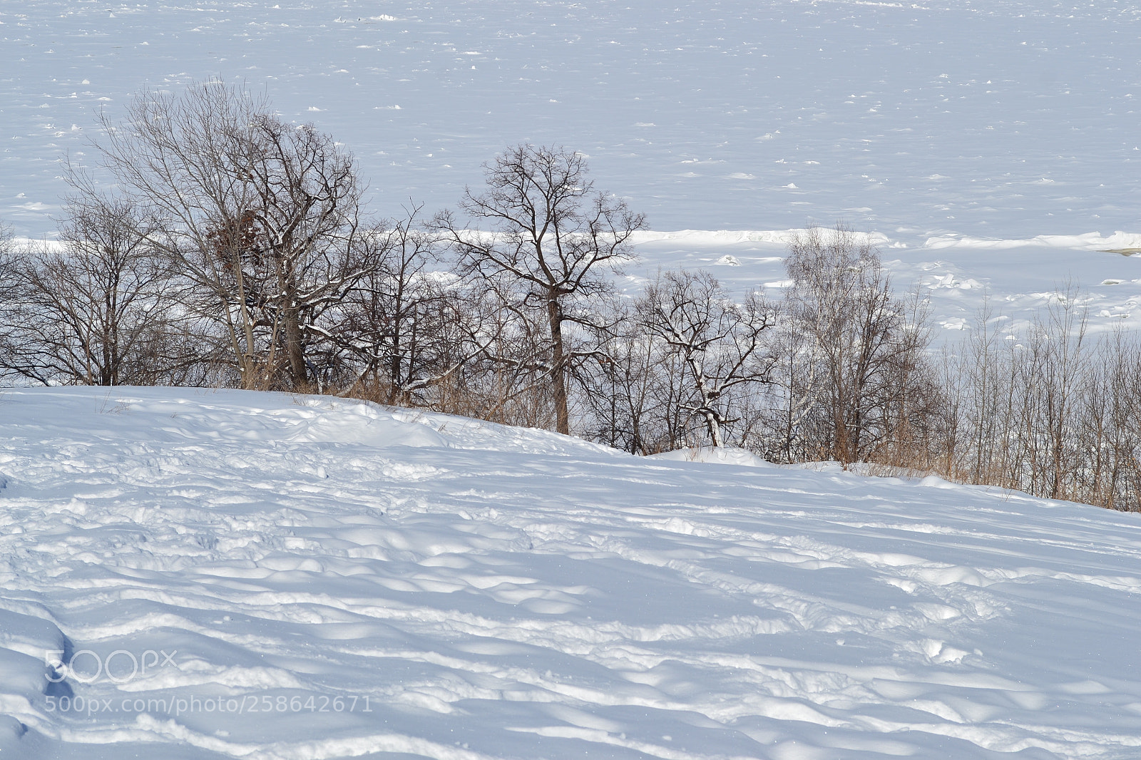 Nikon D3100 sample photo. March photography