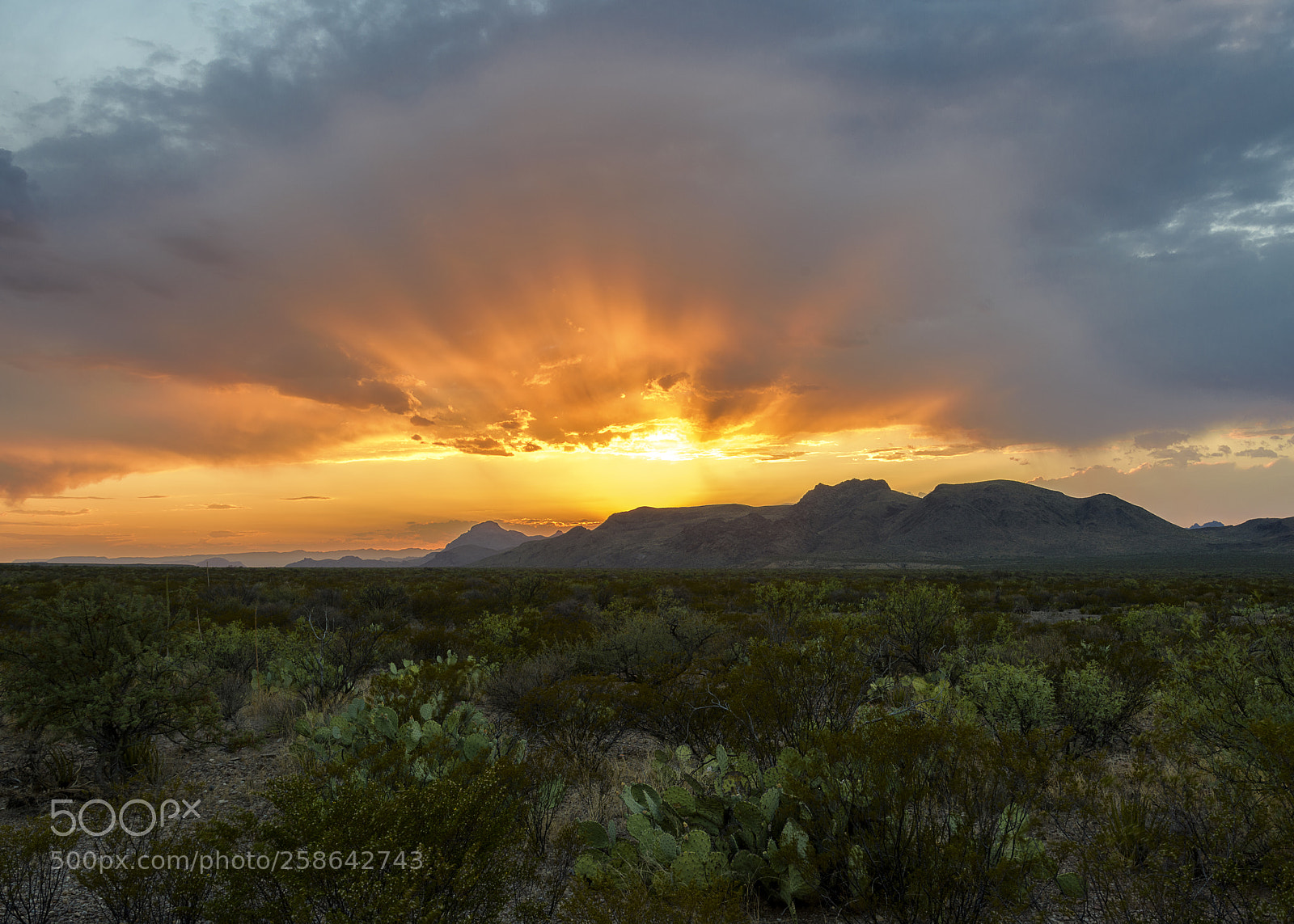 Nikon D810 sample photo. Big bend sunset photography