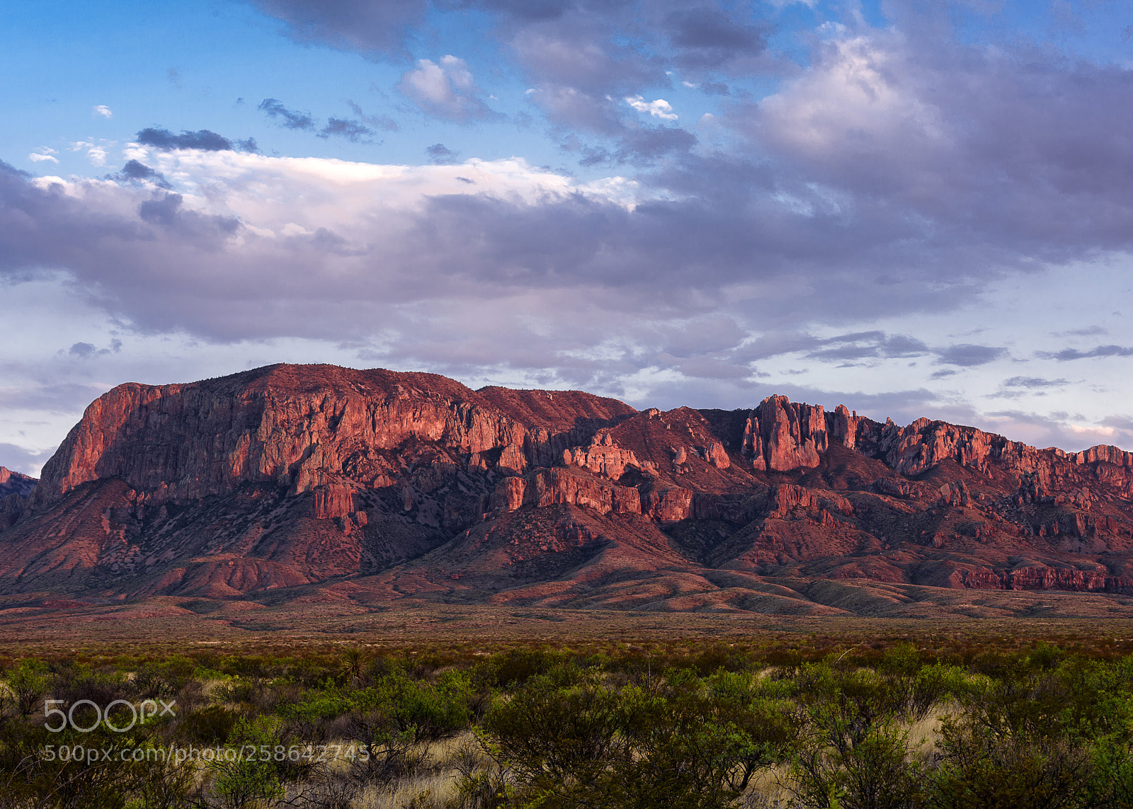Nikon D810 sample photo. Big bend mountain at photography
