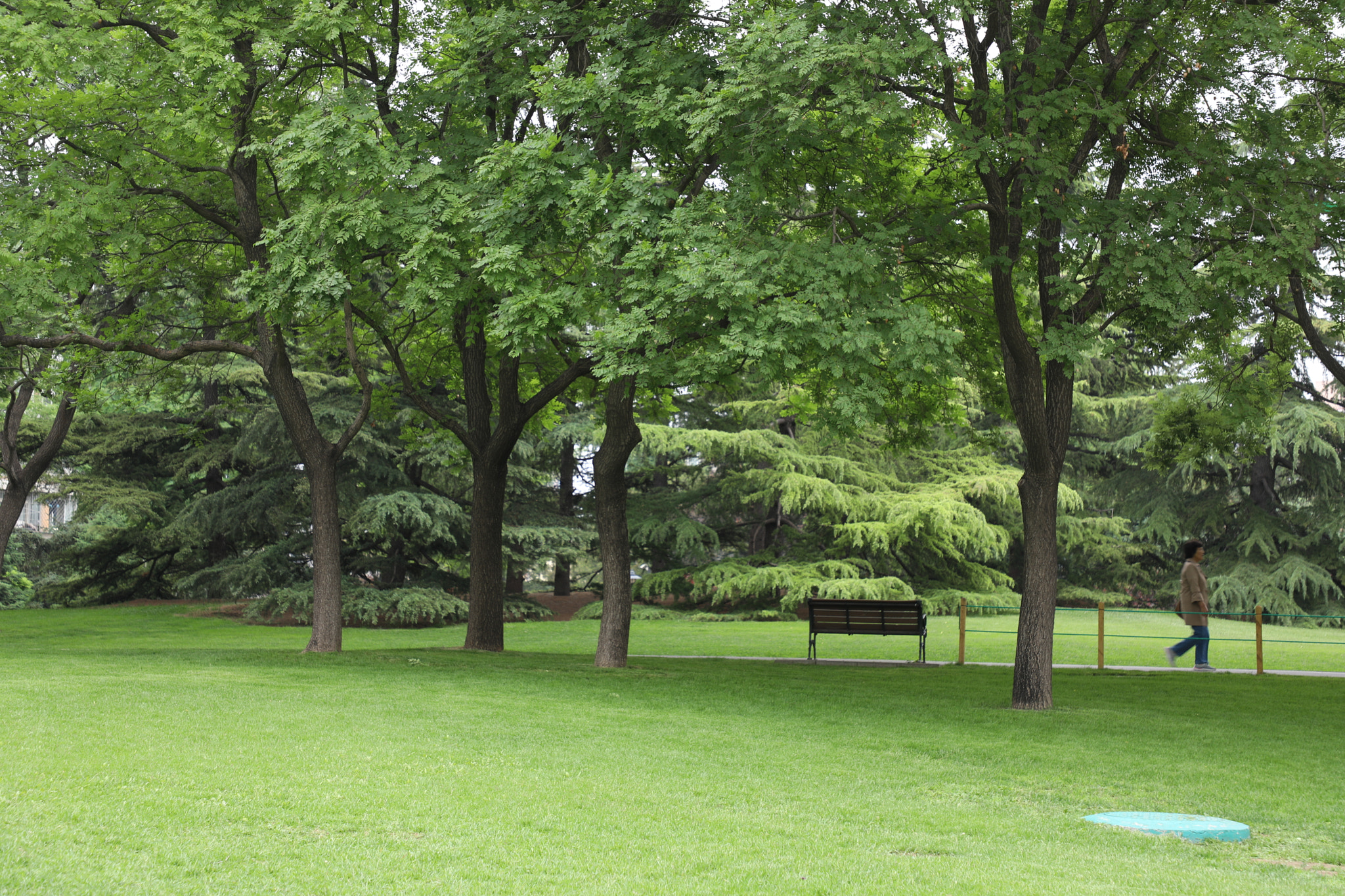 Canon EF 24-105mm F4L IS II USM sample photo. Garden photography