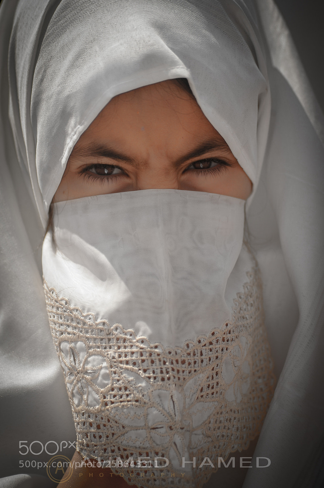 Nikon D700 sample photo. Untitled photography